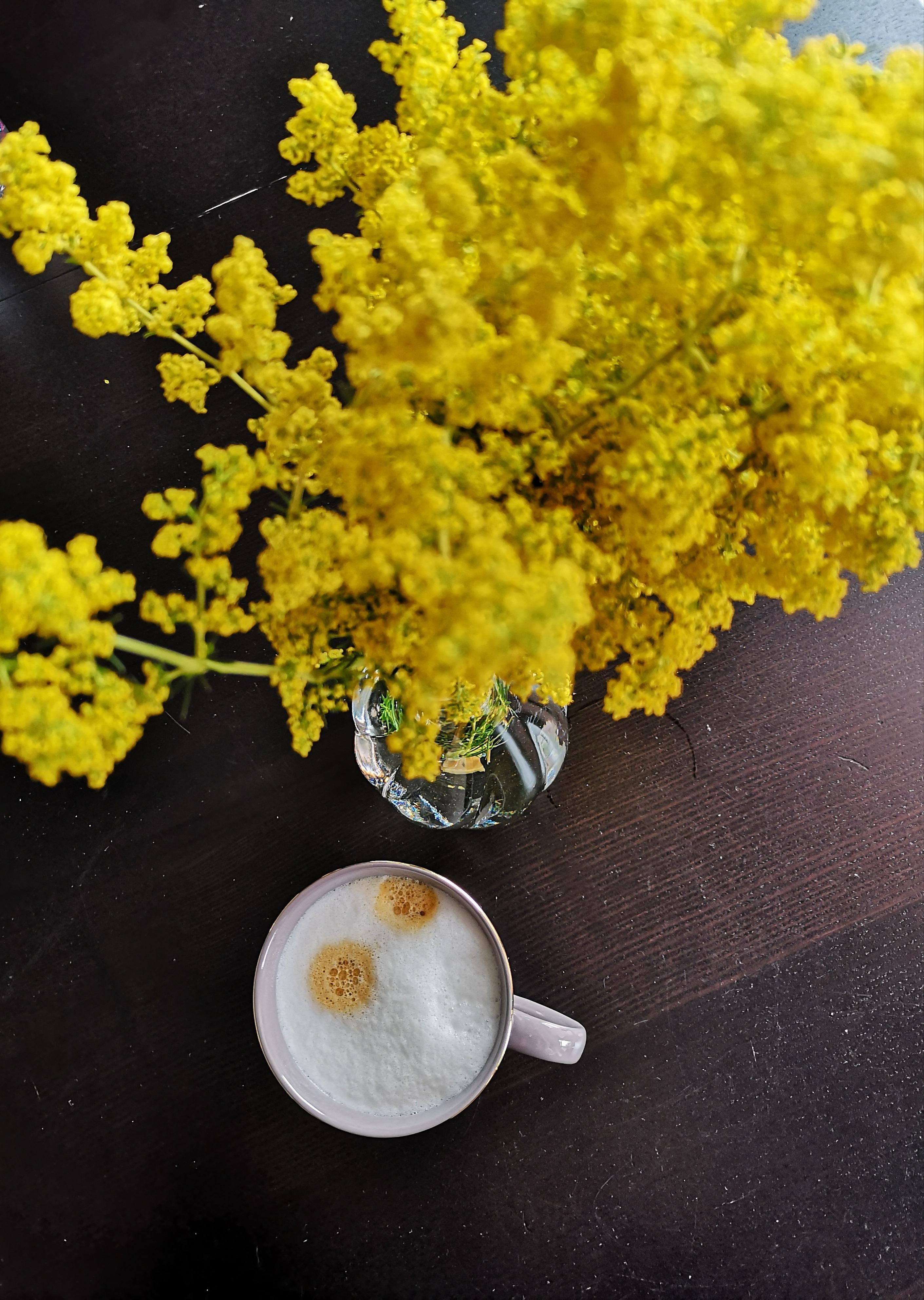 Macht gute Laune... Beides😉
#cappuccino #ackerblumen #golddetails