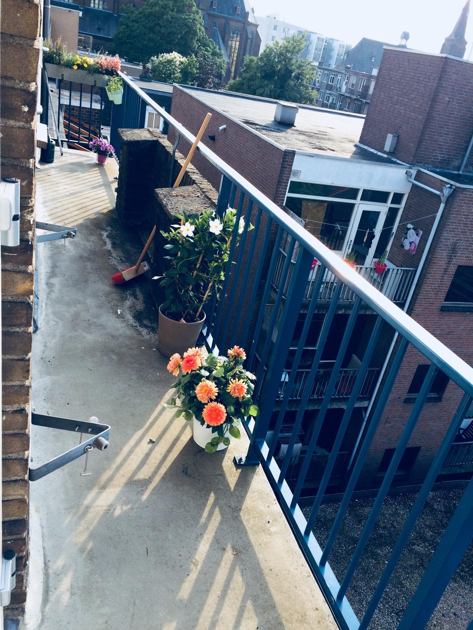 Mädelswochenende bei einer Freundin in Holland - schaut euch ihren Balkon an 😳😍 #balkon #holland #wow #endloslang
