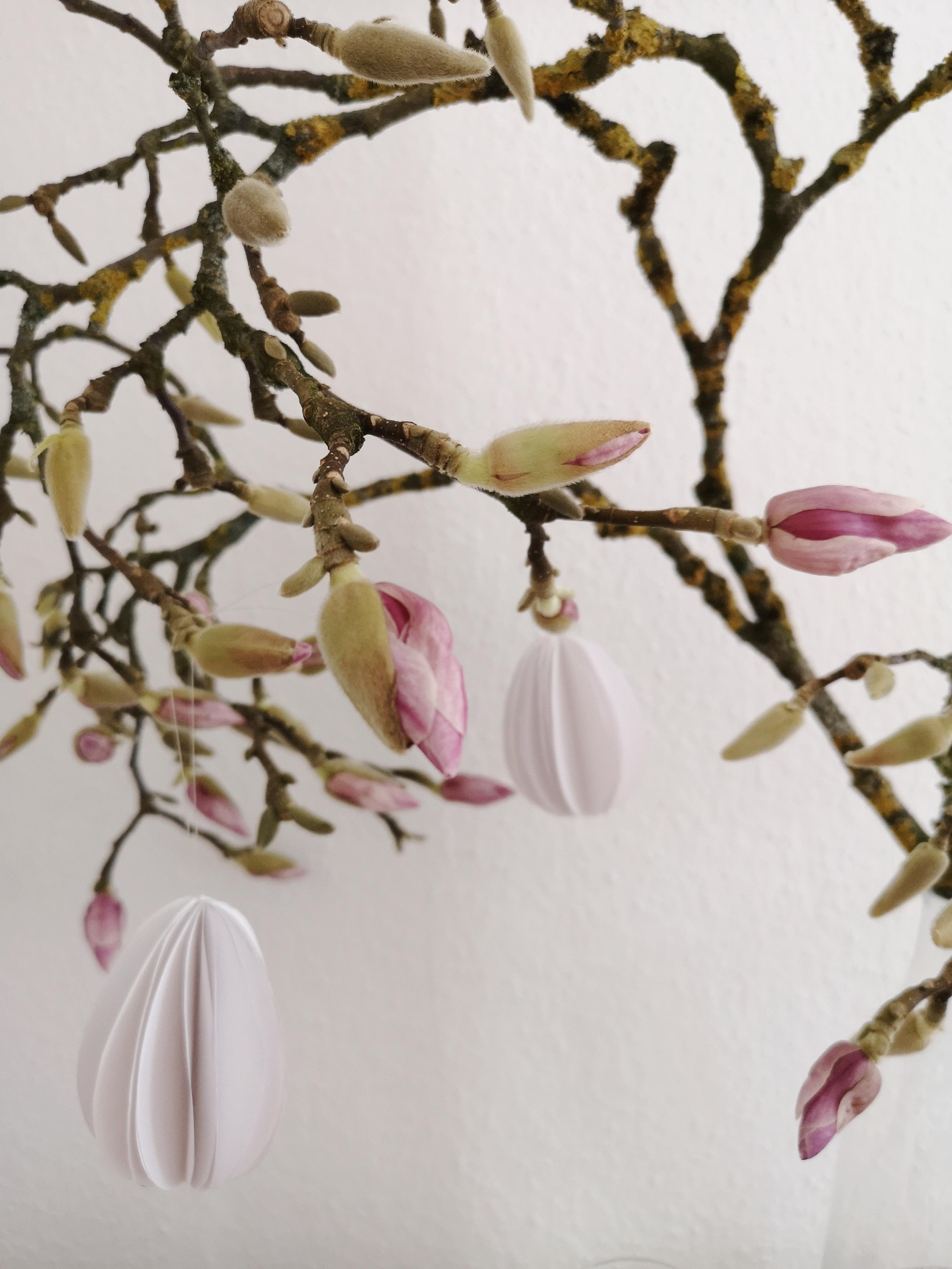 Magnolia - Liebe
#easter #ostern #magnolia #magnolie #easterdecor 