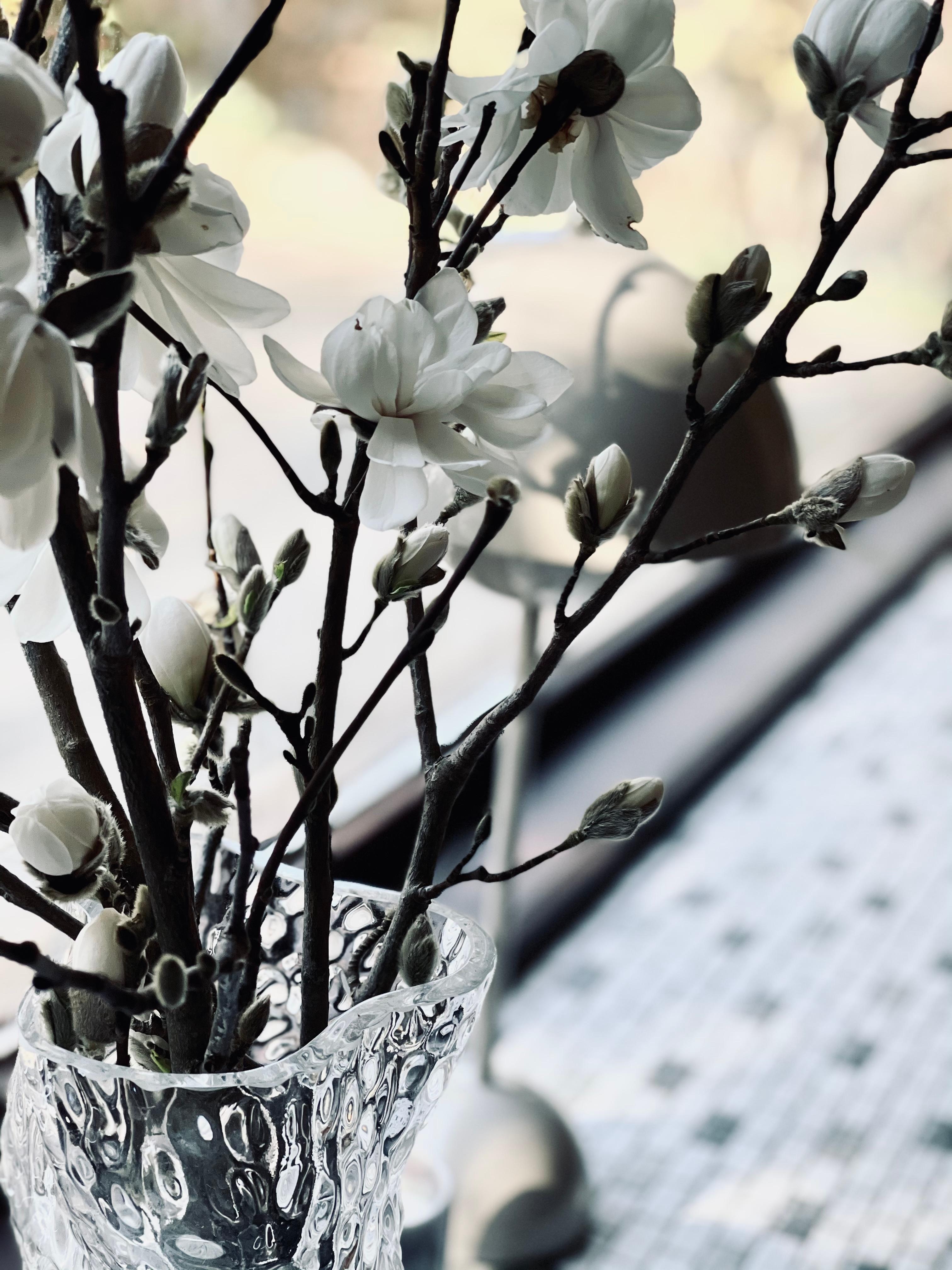 Magnolia and &tradition #details #flowerpot #design #designlover #housenine #andtradition