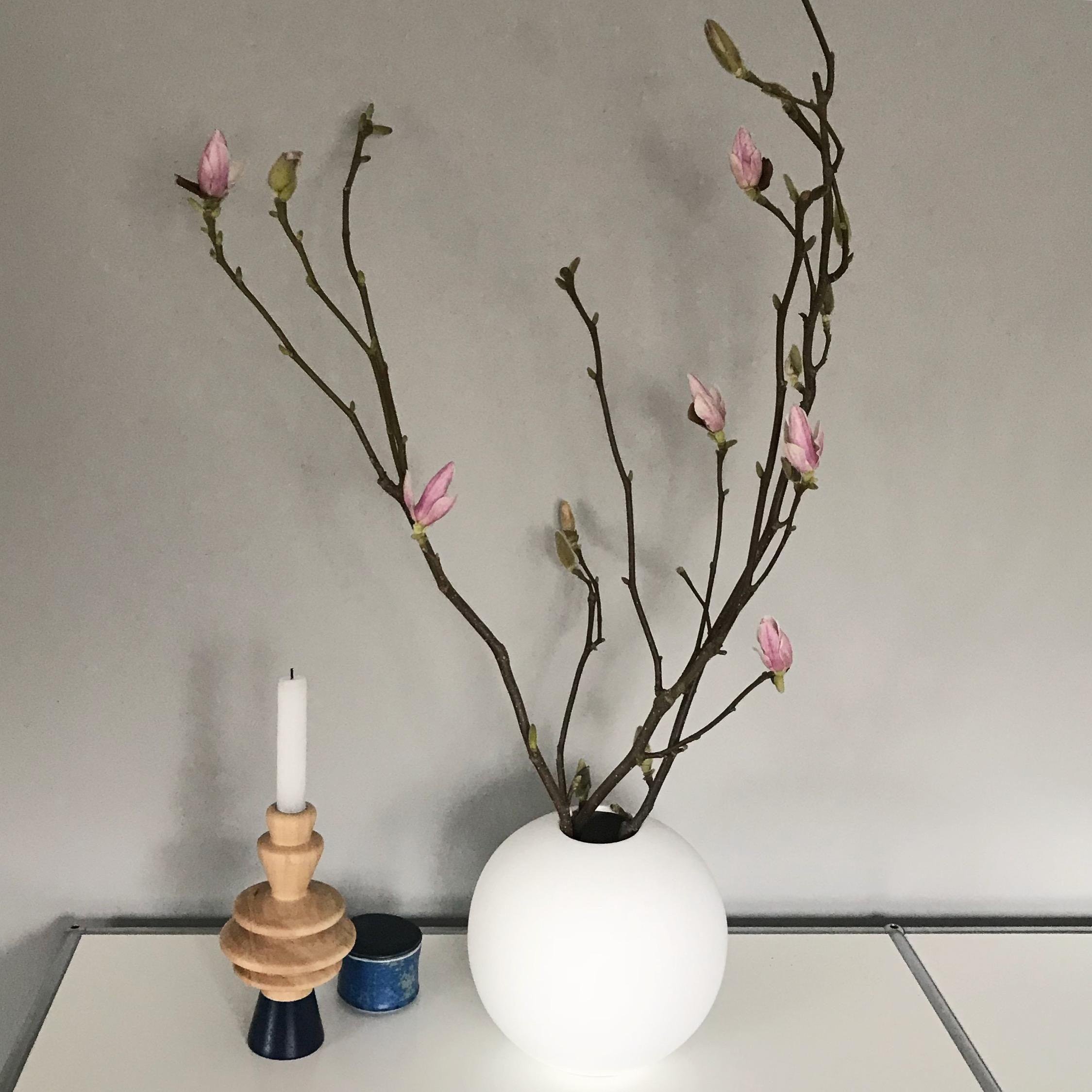 #magnolie #flowers #cooee #usm #deko #wohnzimmer #livingroom