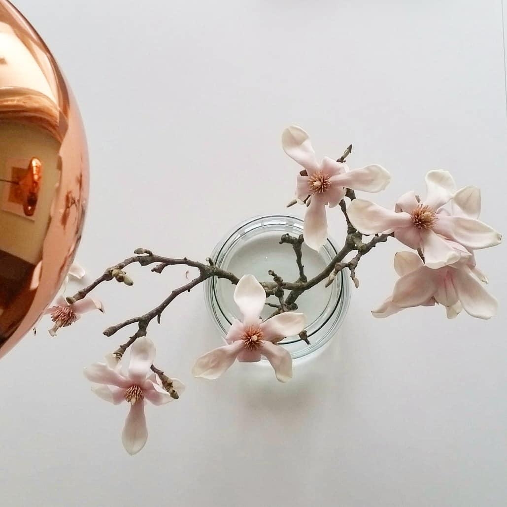 #magnolien #kupfer #blumenliebe