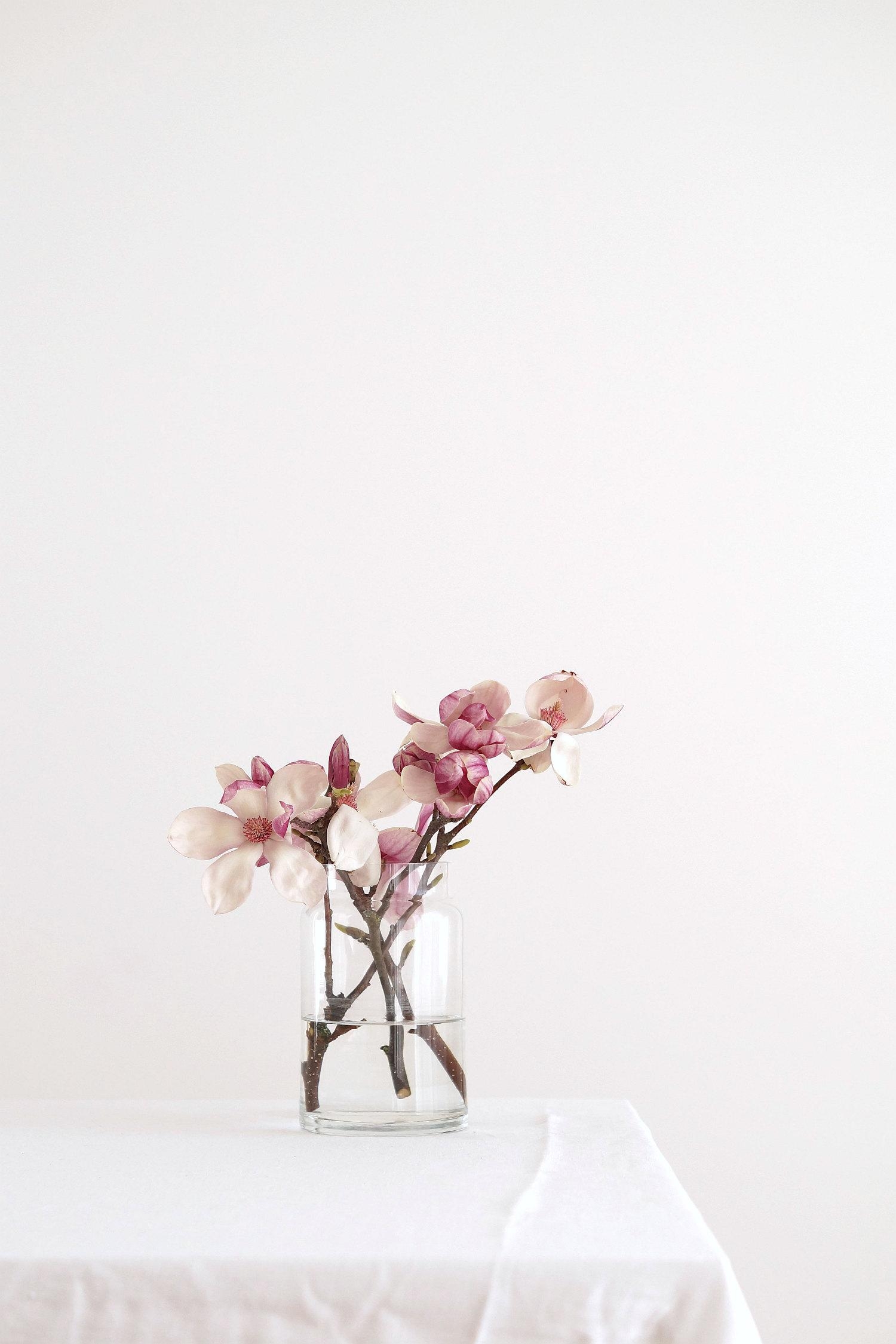 #magnolien #minimalismus #hygge #frühling #frühlingsdeko #weiß #rosa