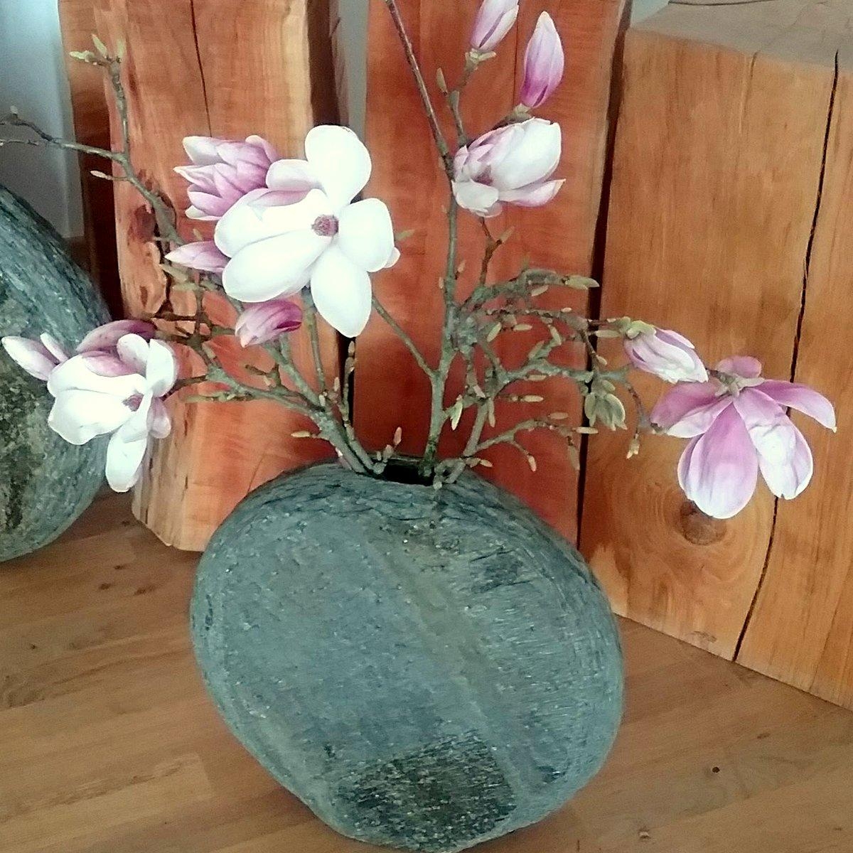 #Magnolienblüten sehen auch in einer #Steinvase wunderschön aus, oder ?
#Vasenliebe #dekoidee