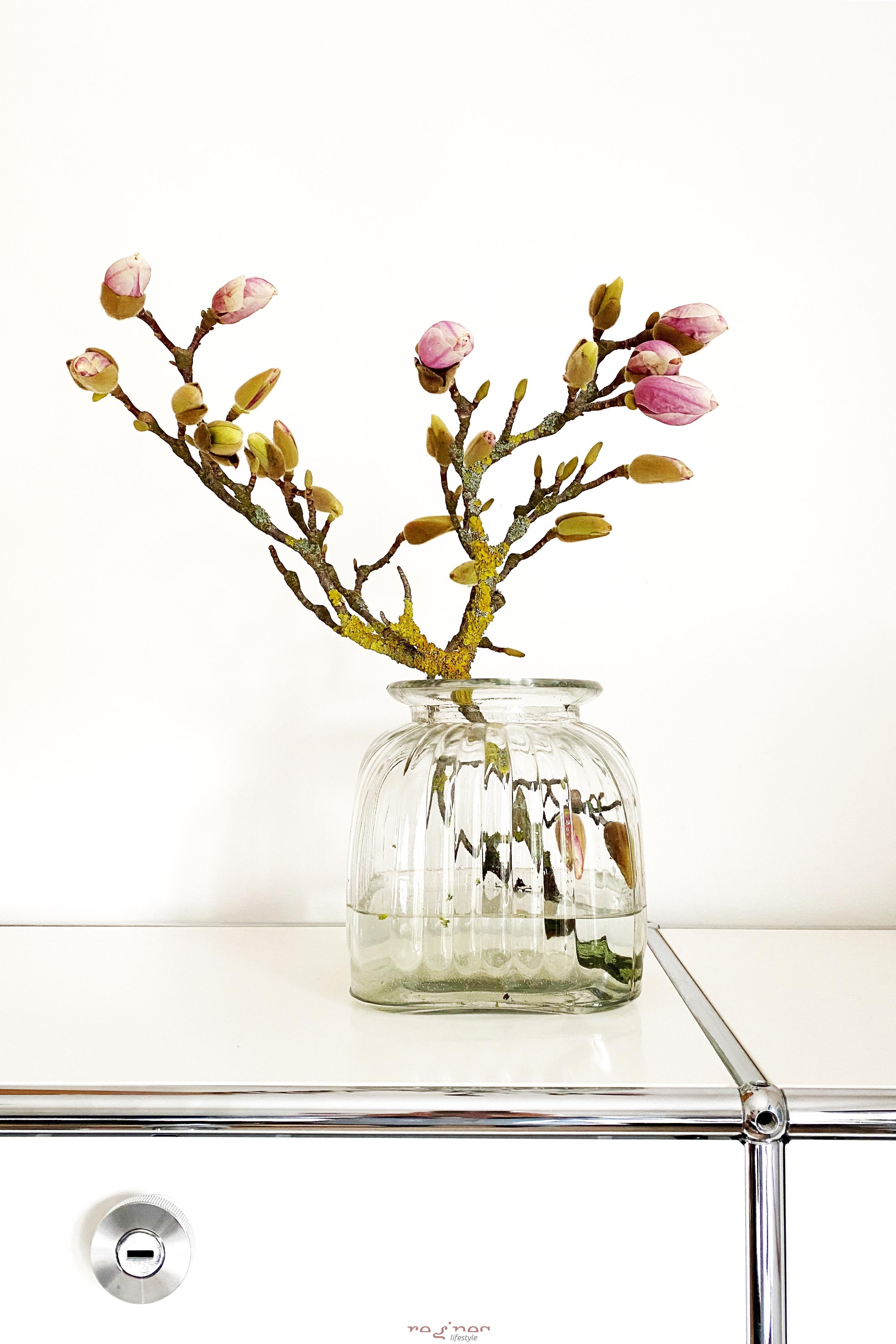 Magnolienliebe
#cosyhome #skandistyle #dekoliebe #easyinterieur #simpledecor #magnolie #magnolia #blumen