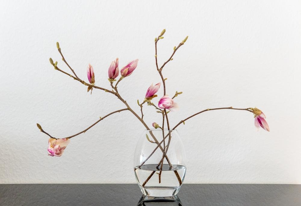 Magnolienliebe...
Und was macht euch glücklich?
 #magnolien #freshflower #blumenliebe