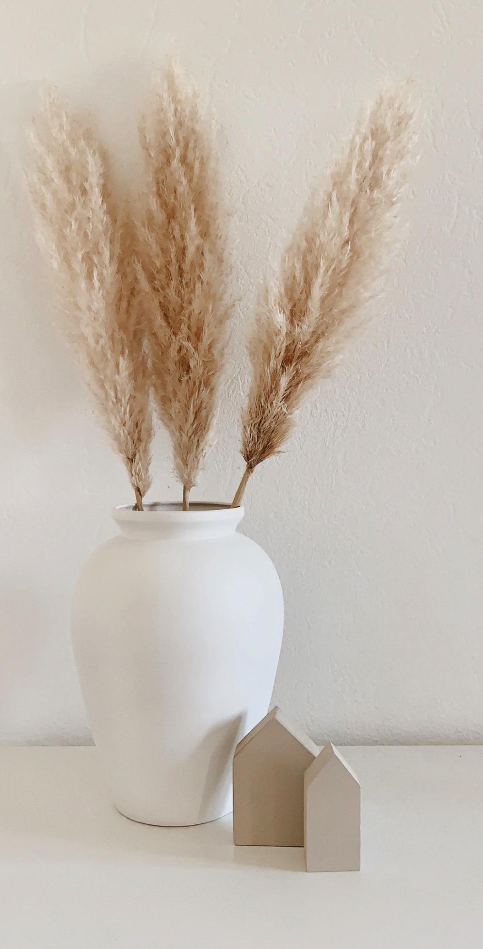 Mal eben eine Terrakotta Vase umgesprüht.love it 🤍

#vasespam #pampasgras #whiteliving #scandinavian #interior