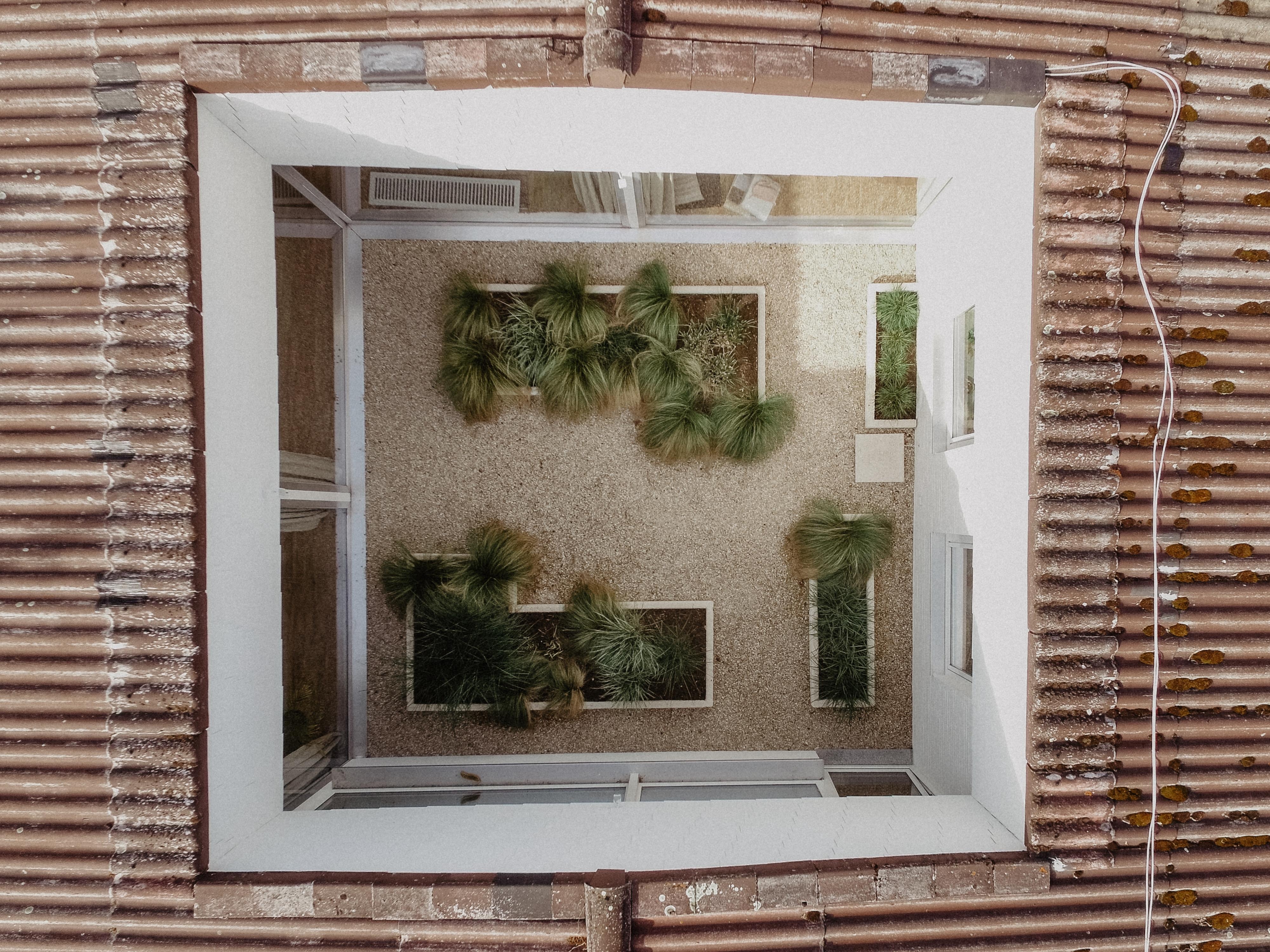 Mal eine andere #perspektive ☺️ Unser #Atrium im Haus, was wir letztes Jahr komplett neu gestaltet haben. #gartenliebe 