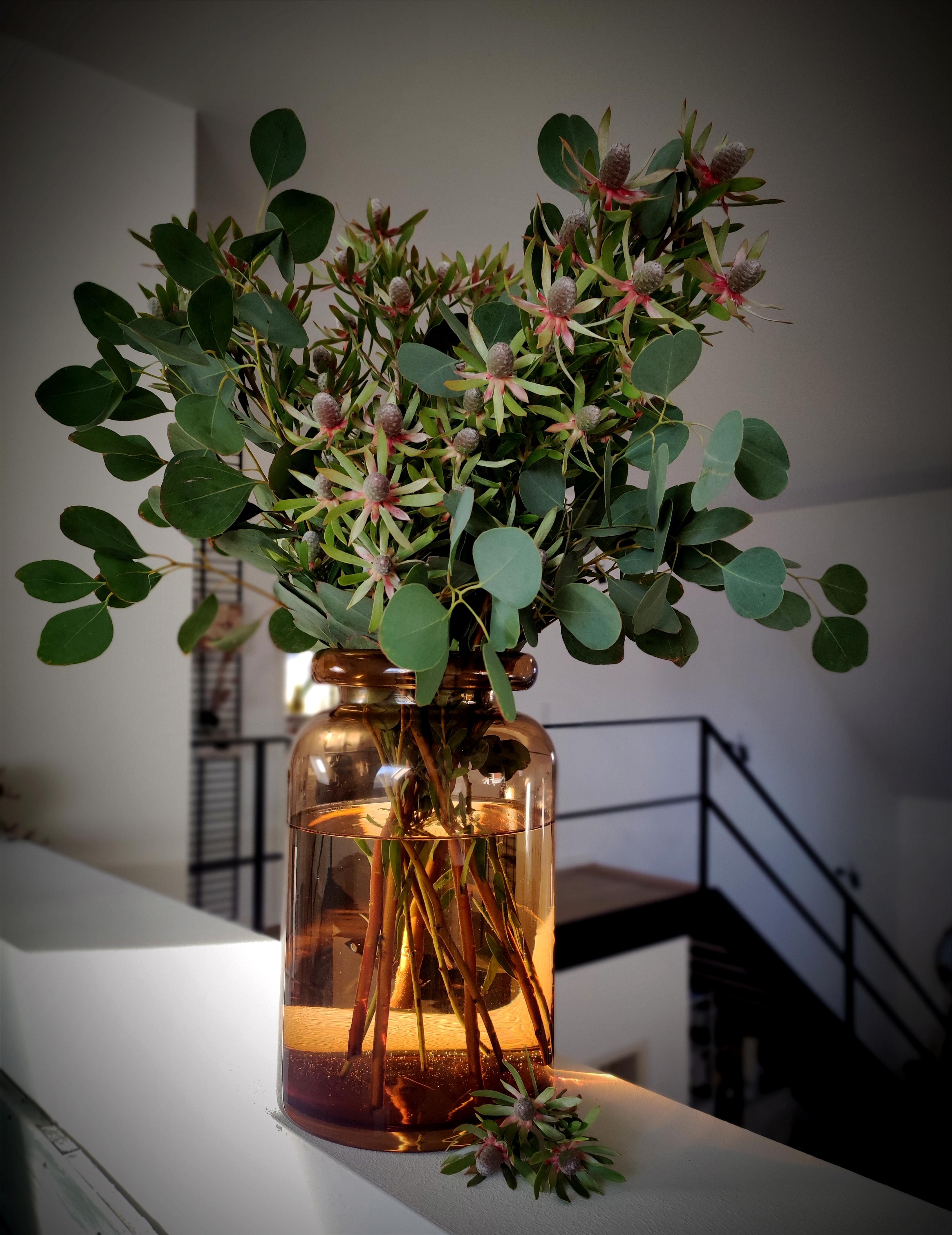 Mal was anderes in einer Vase 🌿 #freshflower #vase #blumenliebe #galeriehaus #treppe #eucalypthus 