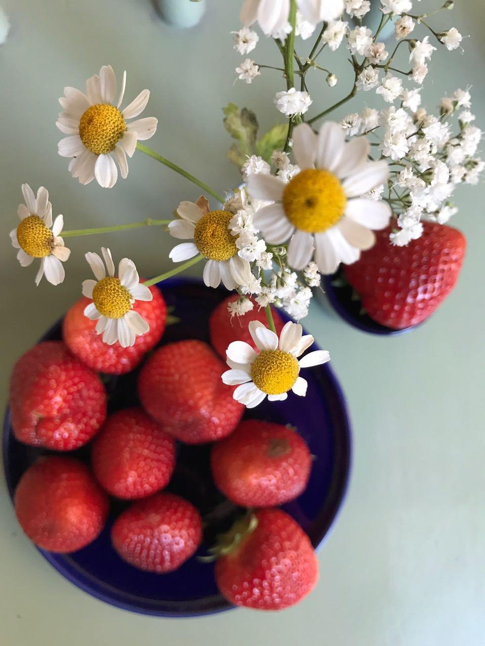 Man kann nie genug Erdbeeren zu Hause haben. #esszimmer #blumen #erdbeere #türkis #sommer #kamille #tischdekoration