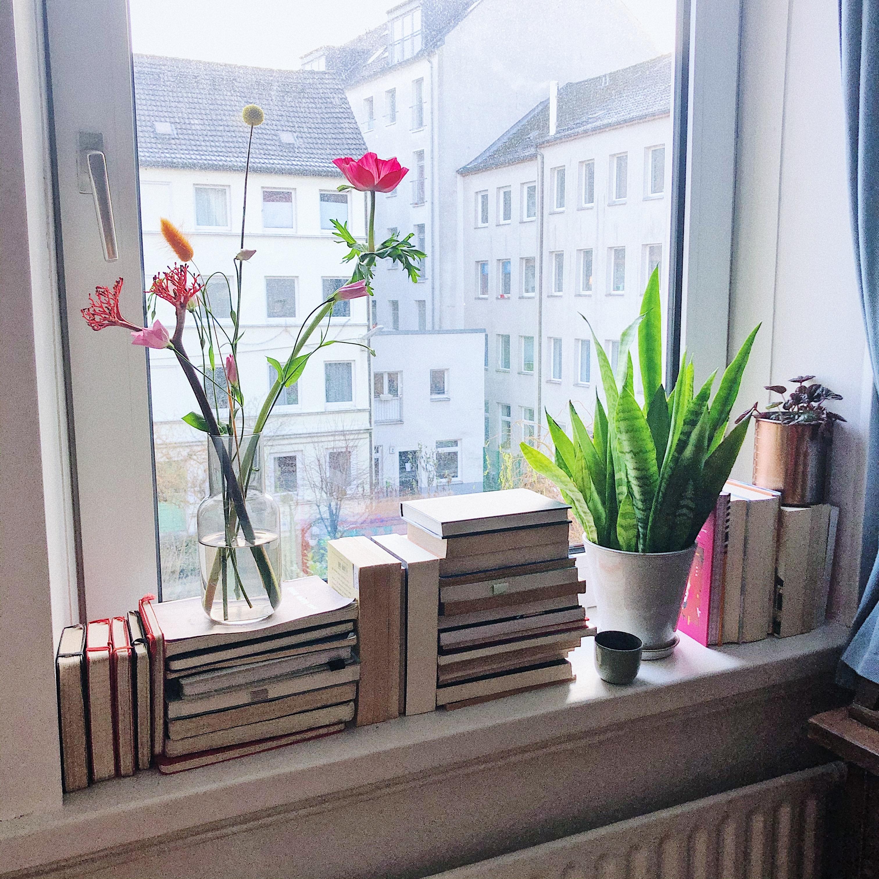 Mehr Bücher, mehr Blumen - mehr Licht: yeah, danke dafür Hamburg 💫
#Bücher #Blumen #Fensterbank
