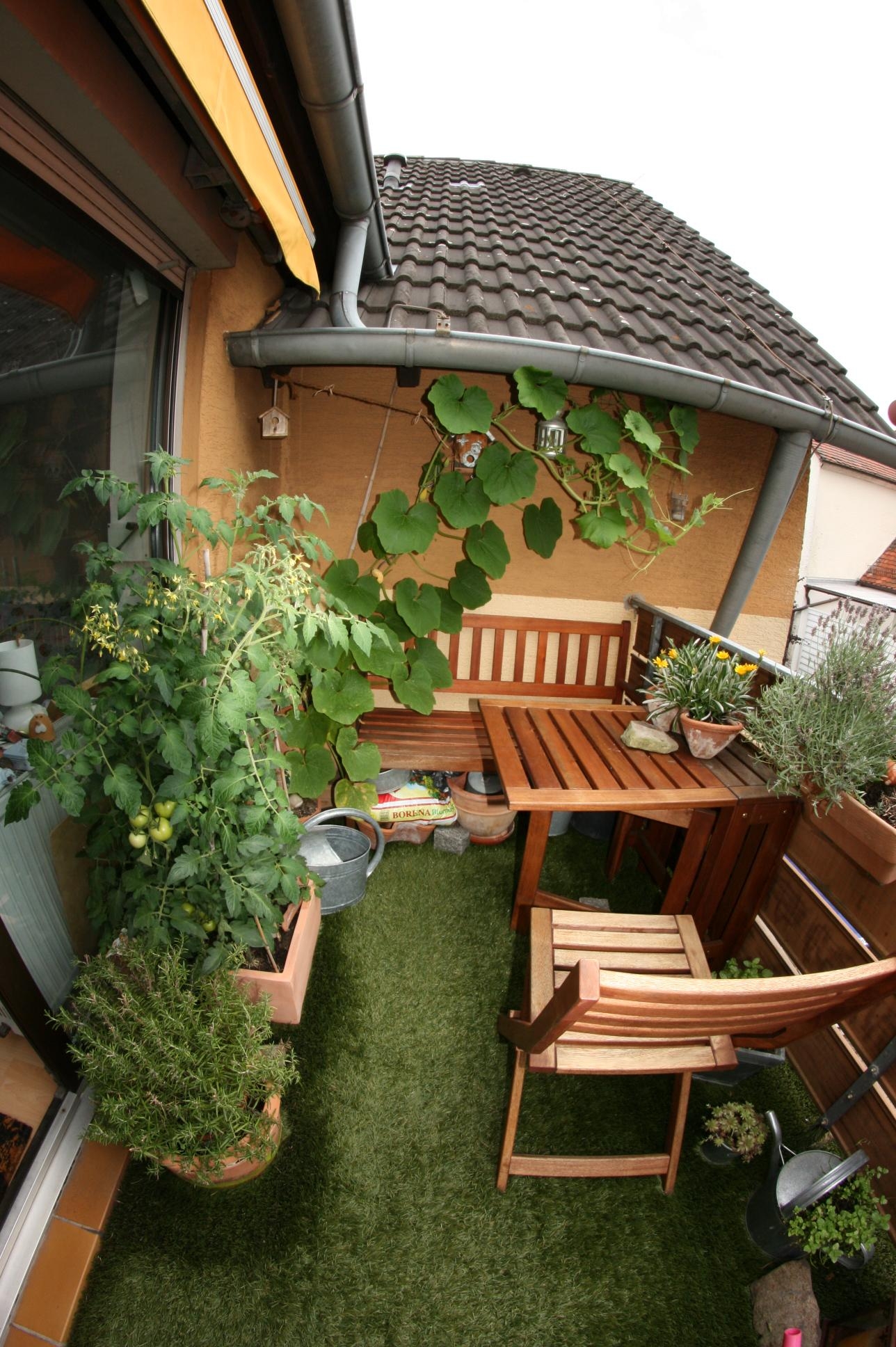 Mein alter Balkon, nun haben wir endlich einen Garten an dem sich meine Freundin noch mehr austoben kann!
#balkondiy