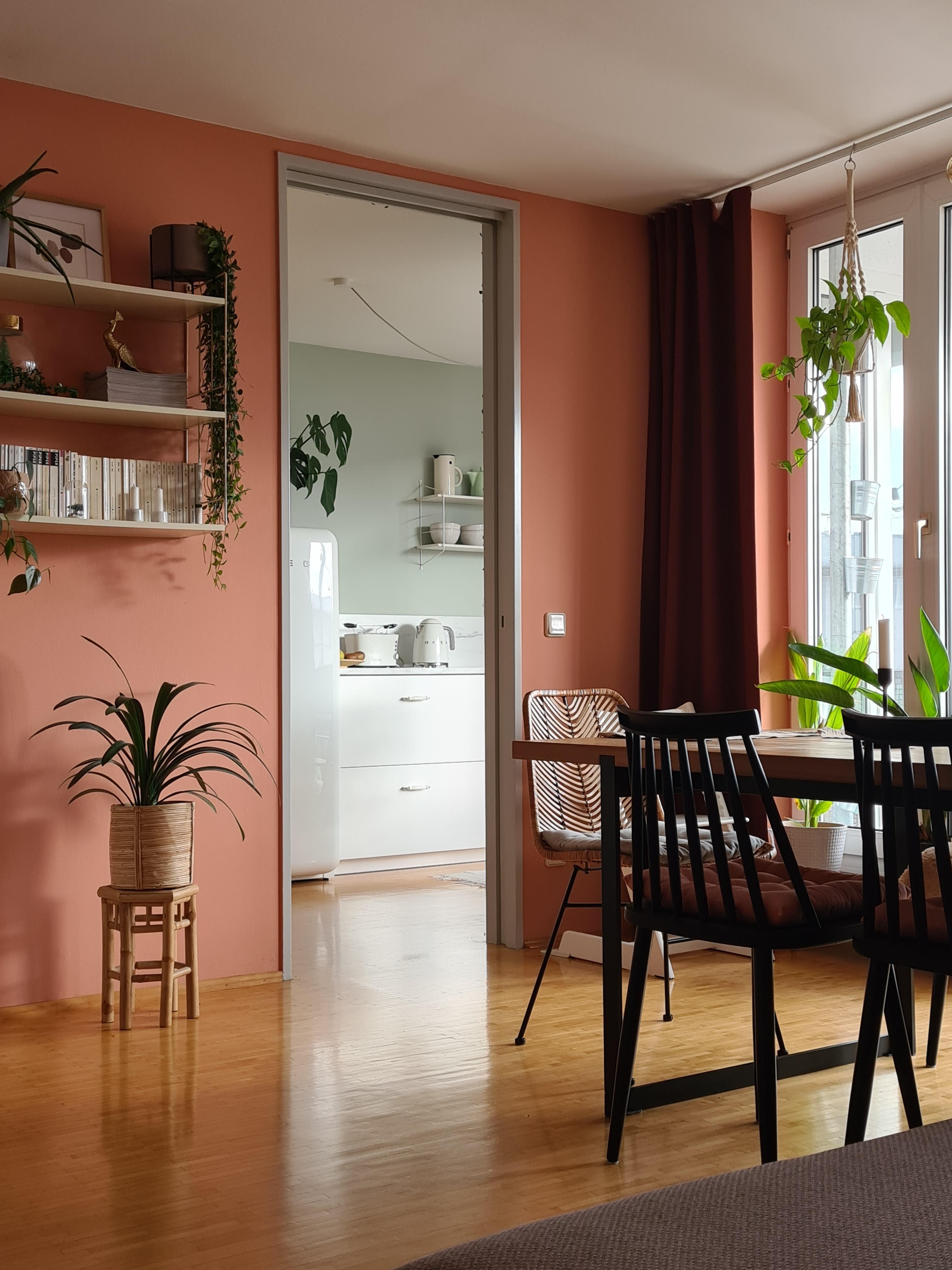 Mein Blick von der #couch zum #esstisch in die #küche | #wandfarbe #rattan #wohnzimmer 