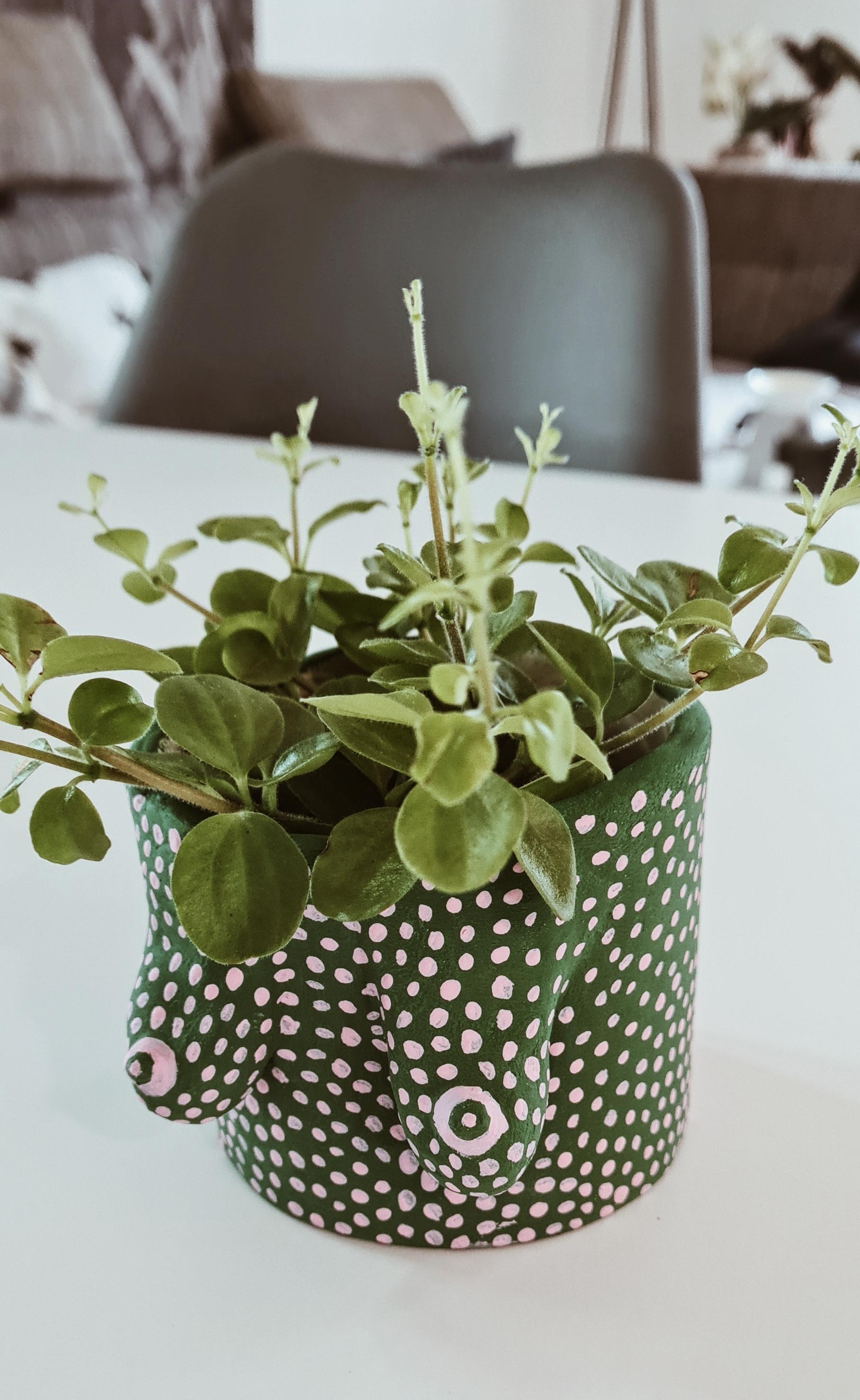 Mein #diy ein Boobstopf für meine Pflanzen...Love it

#diy #pflanzen #interiordesign #interior 