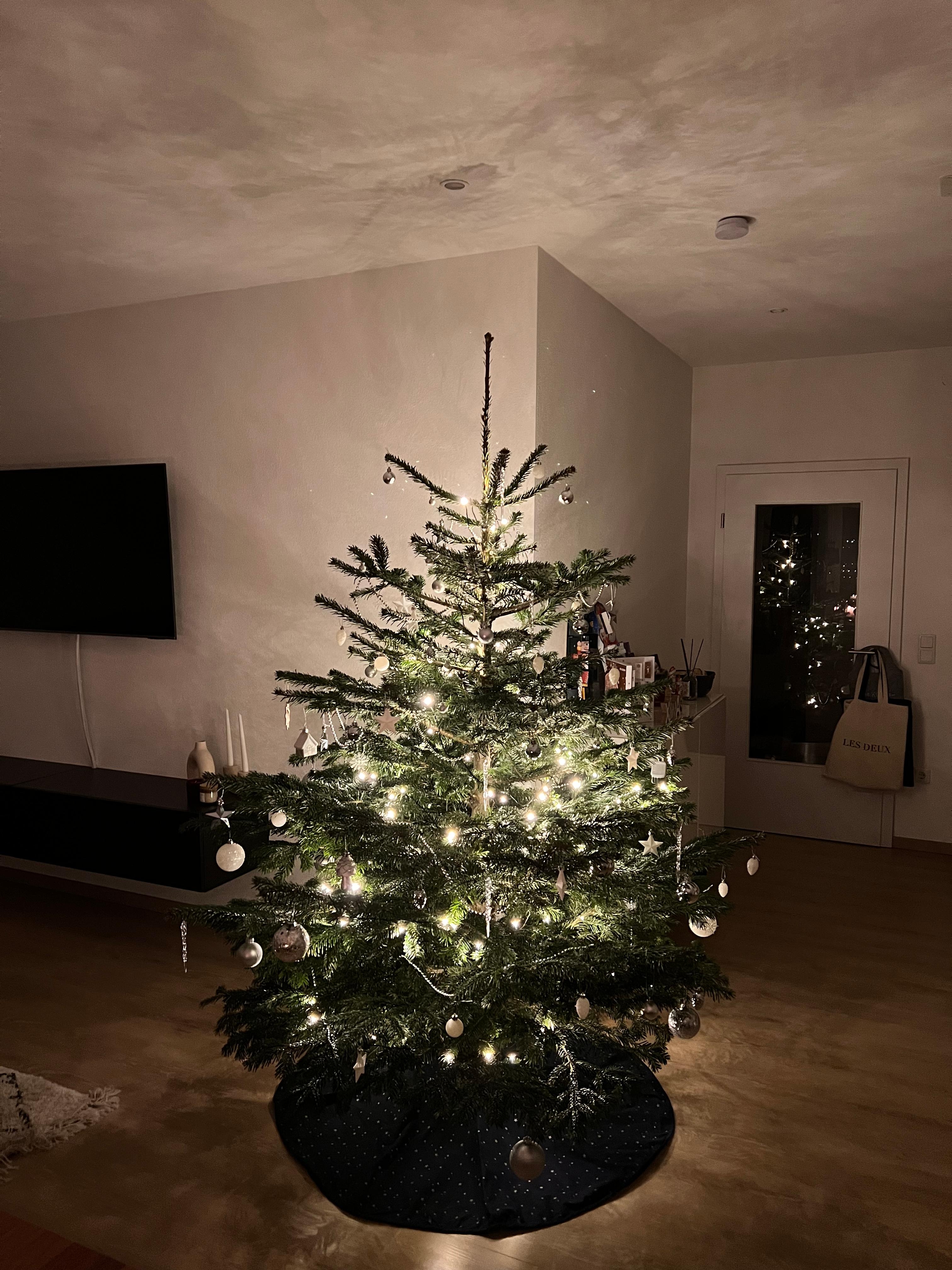 Mein erster eigener Weihnachtsbaum 🎄 #christbaum #weihnachten #deko