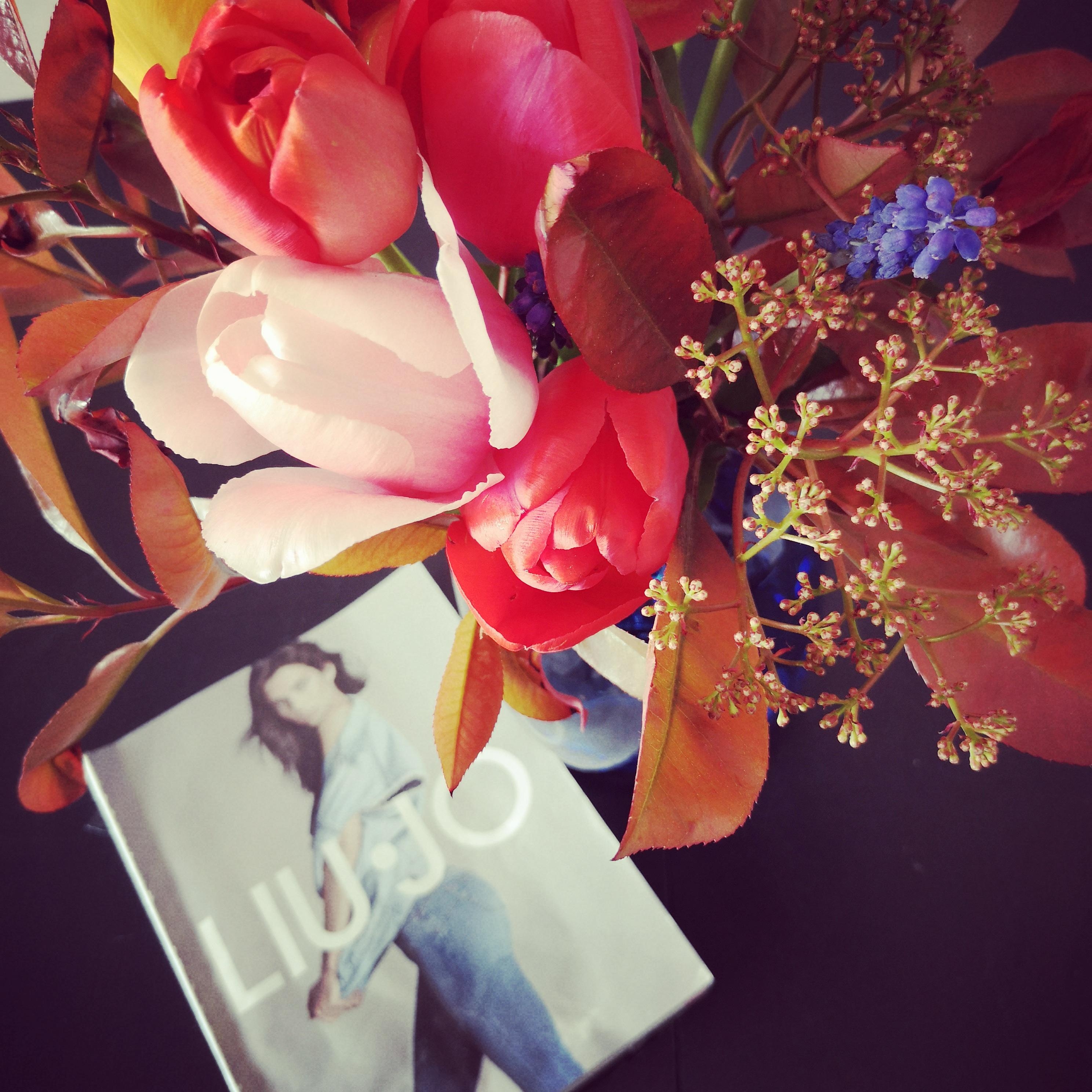Mein erster selbstgebundener Strauss mit Blumen o. Ä. aus unserem Garten...😃🤗
#diy #tulpen #lesen