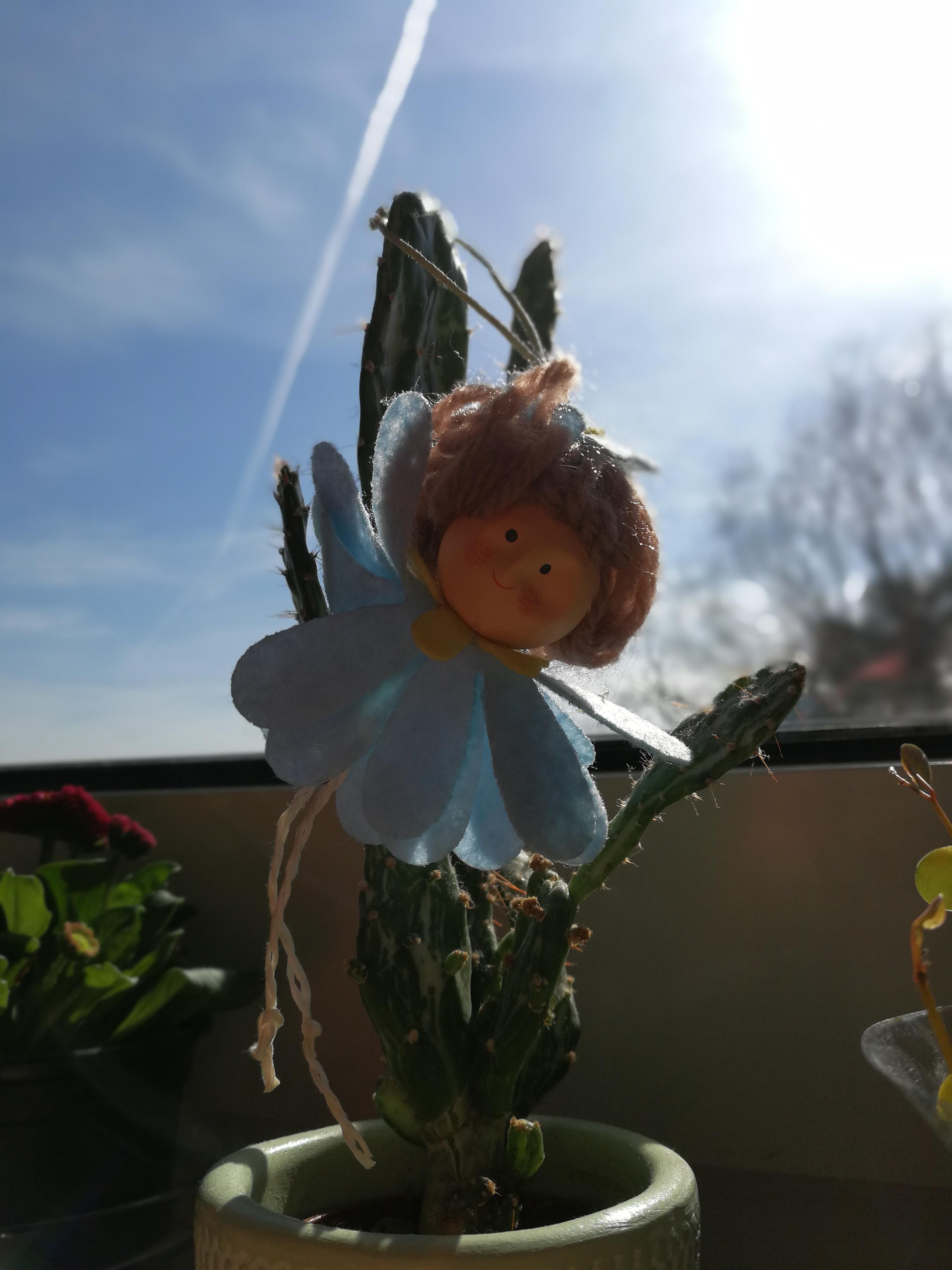 ...mein #Frühlingsdeko 🐦
#Sonne #Himmelblau #Blumen #Kaktus