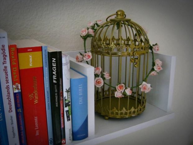 Mein geliebter Vogelkäfig und meine Bücher auf einem kleinen Regal. #homestory