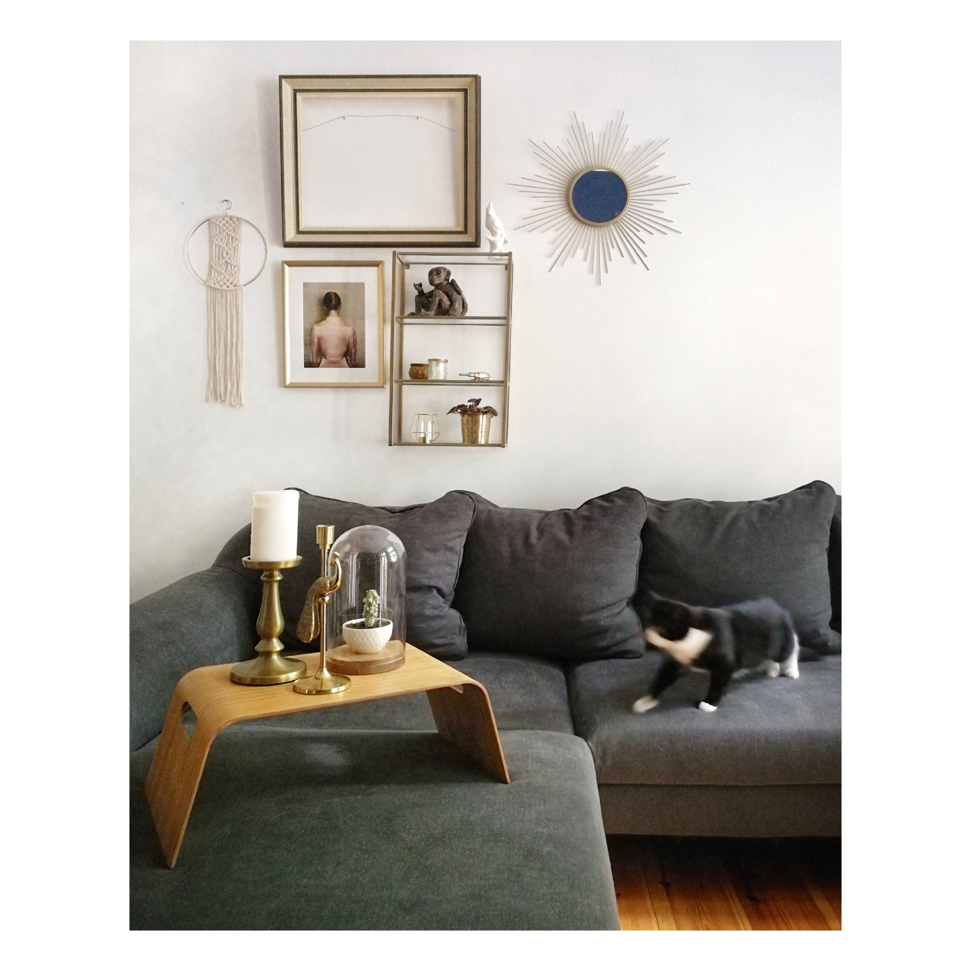 Mein geliebtes Wohnzimmer 💕
#shelfie #cat #wohnzimmer #macrame #sonnenspiegel 