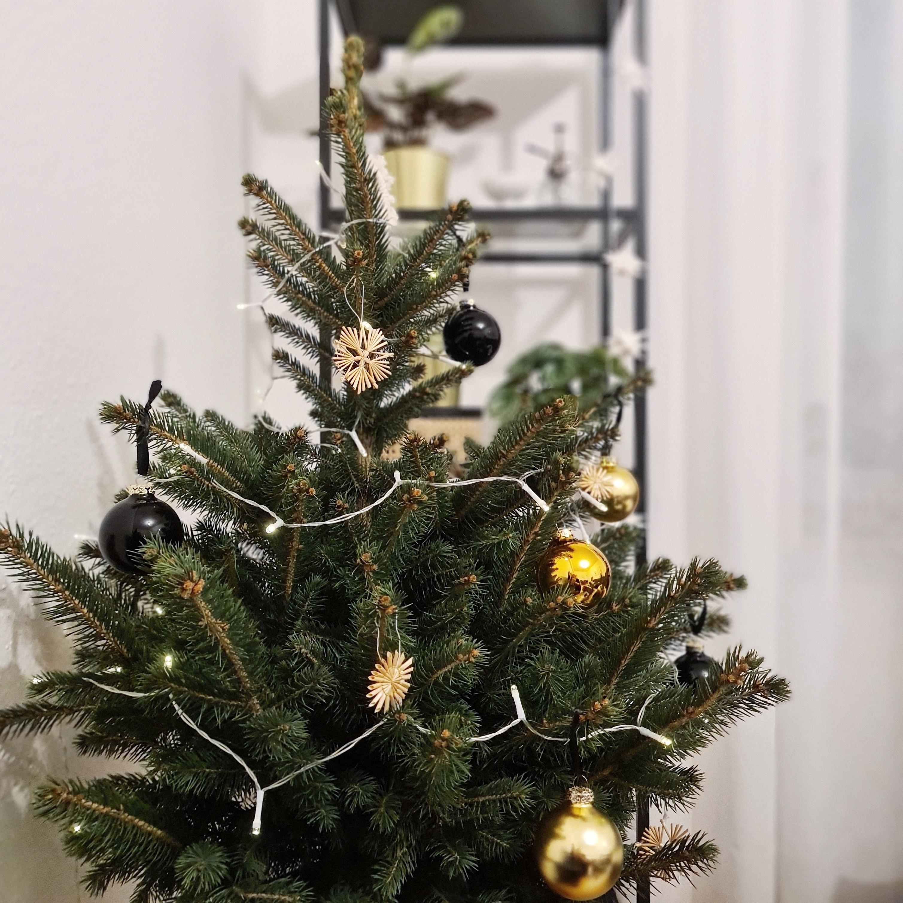 mein kleiner baum 🎄🖤
#tannenbaum #schwarz #gold #details #scandistyle #weihnachten #weihnachtsdeko #gemütlichkeit