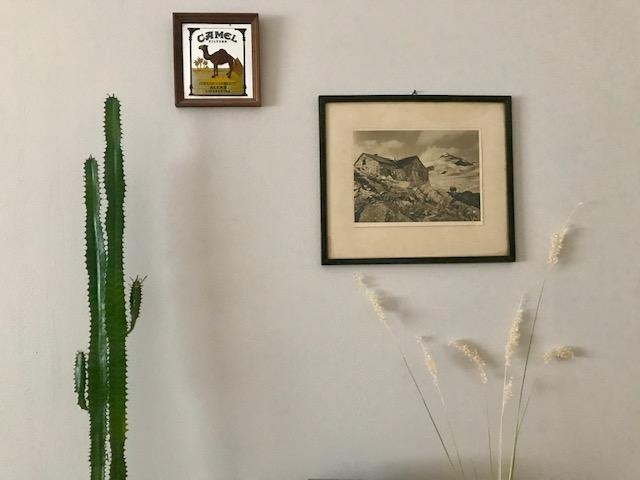 Mein kleiner grüner Kaktus... #kaktus #kaktusliebe #cactus #bilder #wohnzimmer #couchstyle #details #pictureframes