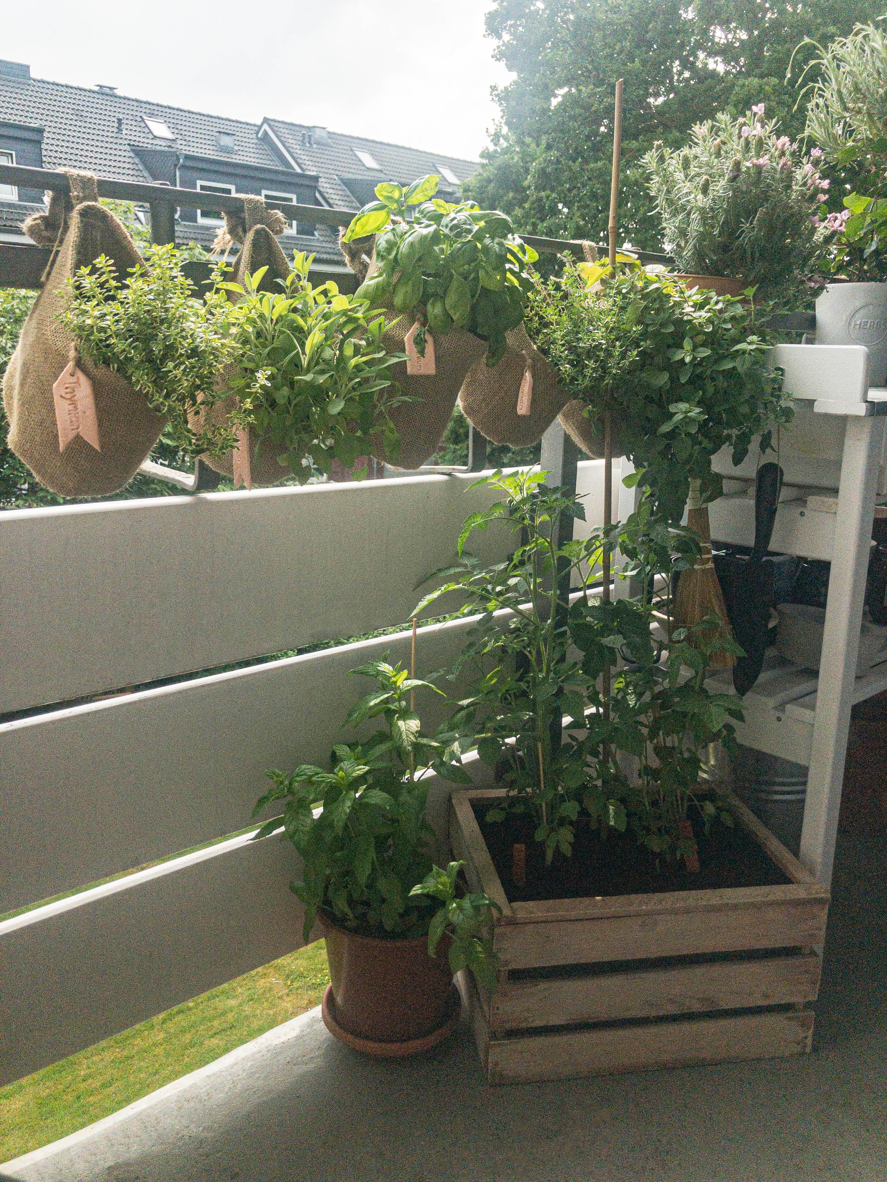 Mein kleiner Kräutergarten, ergänzt super den #Hängendengarten auf meinem #balkon