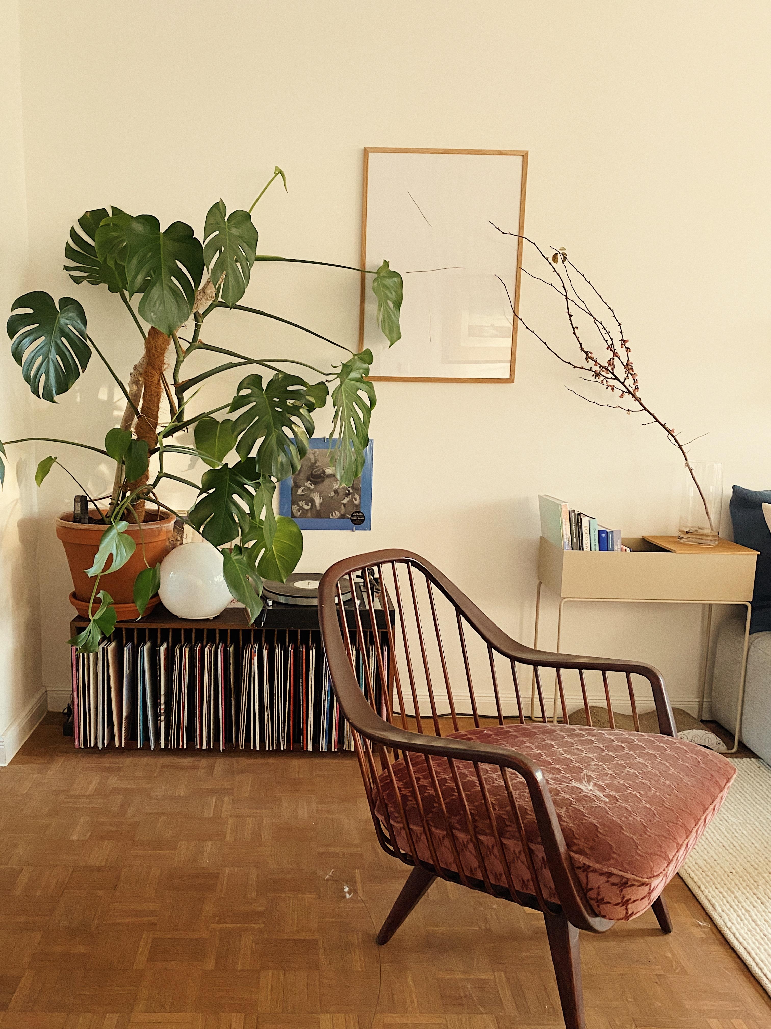 Mein Lieblingsdschungel :) #couch #monstera #pflanzenliebe #vintage