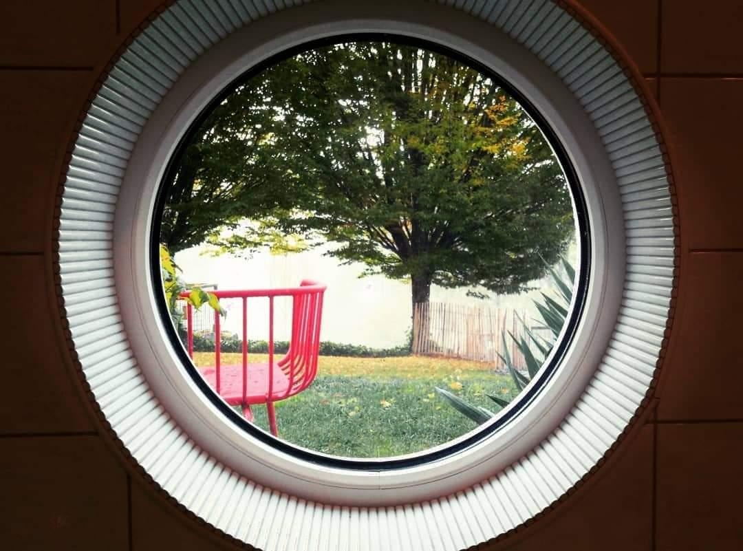 Mein Lieblingsfenster....Blick aus der Badewanne in den Garten 😃