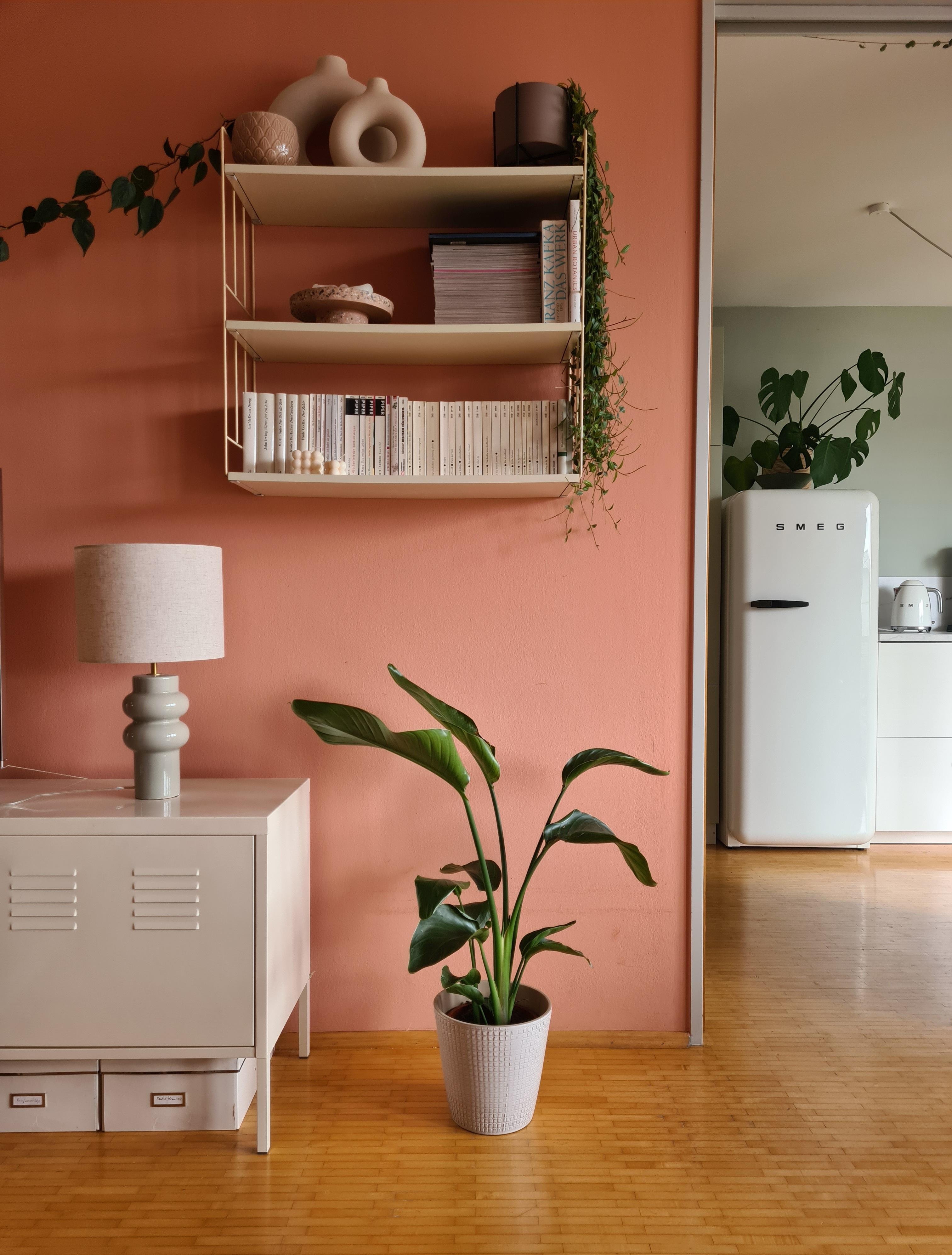 Mein liebster Blick: vom #wohnzimmer in die #küche | #wandfarbe #zimmerpflanze #kühlschrank #wandregal #lampe #smeg