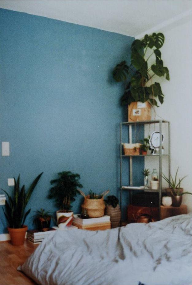 Mein neues Zimmer! Wie findet ihr die blaue Wand, die mein Vormieter mir dagelassen hat? 
#interior #blue #plants 