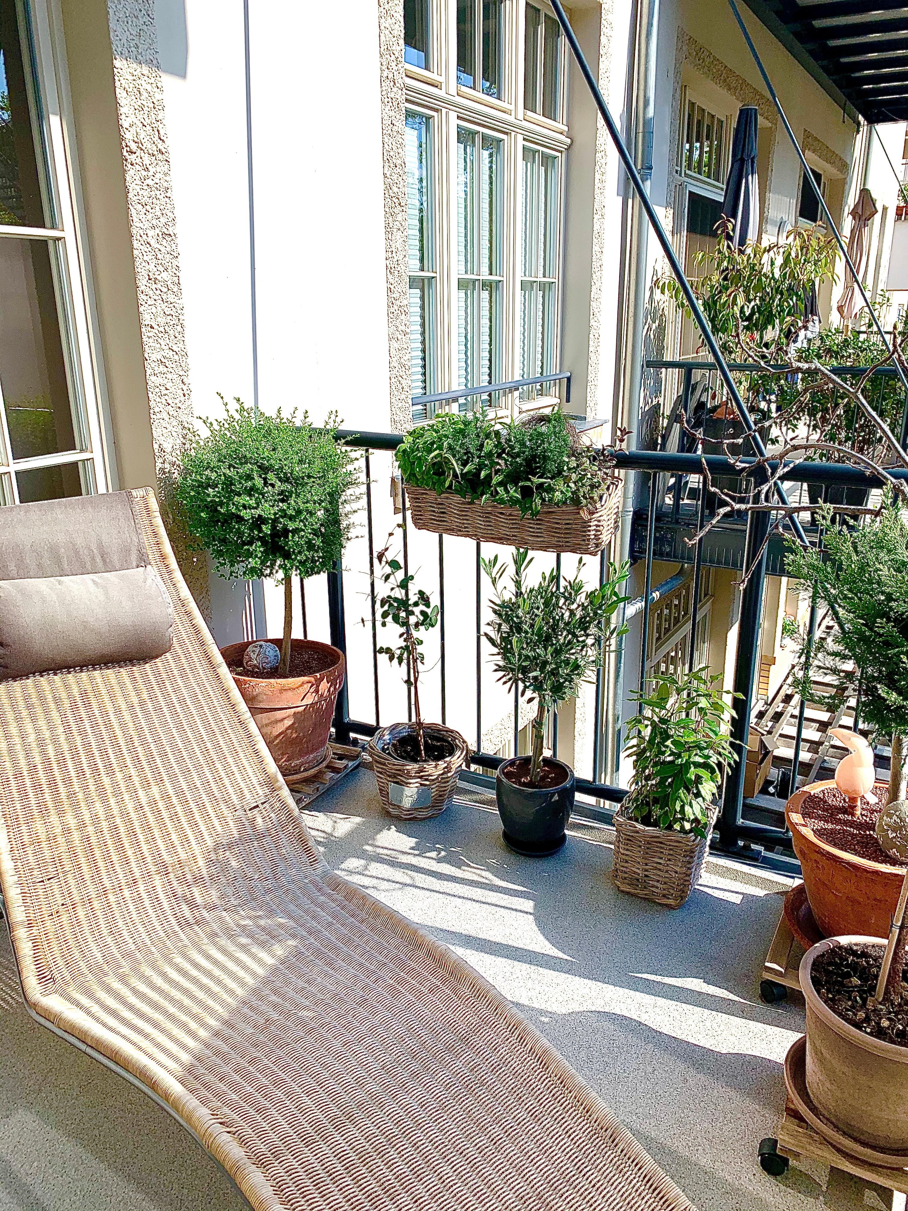 Mein Platz an der Sonne
#balkon #liege #ikea