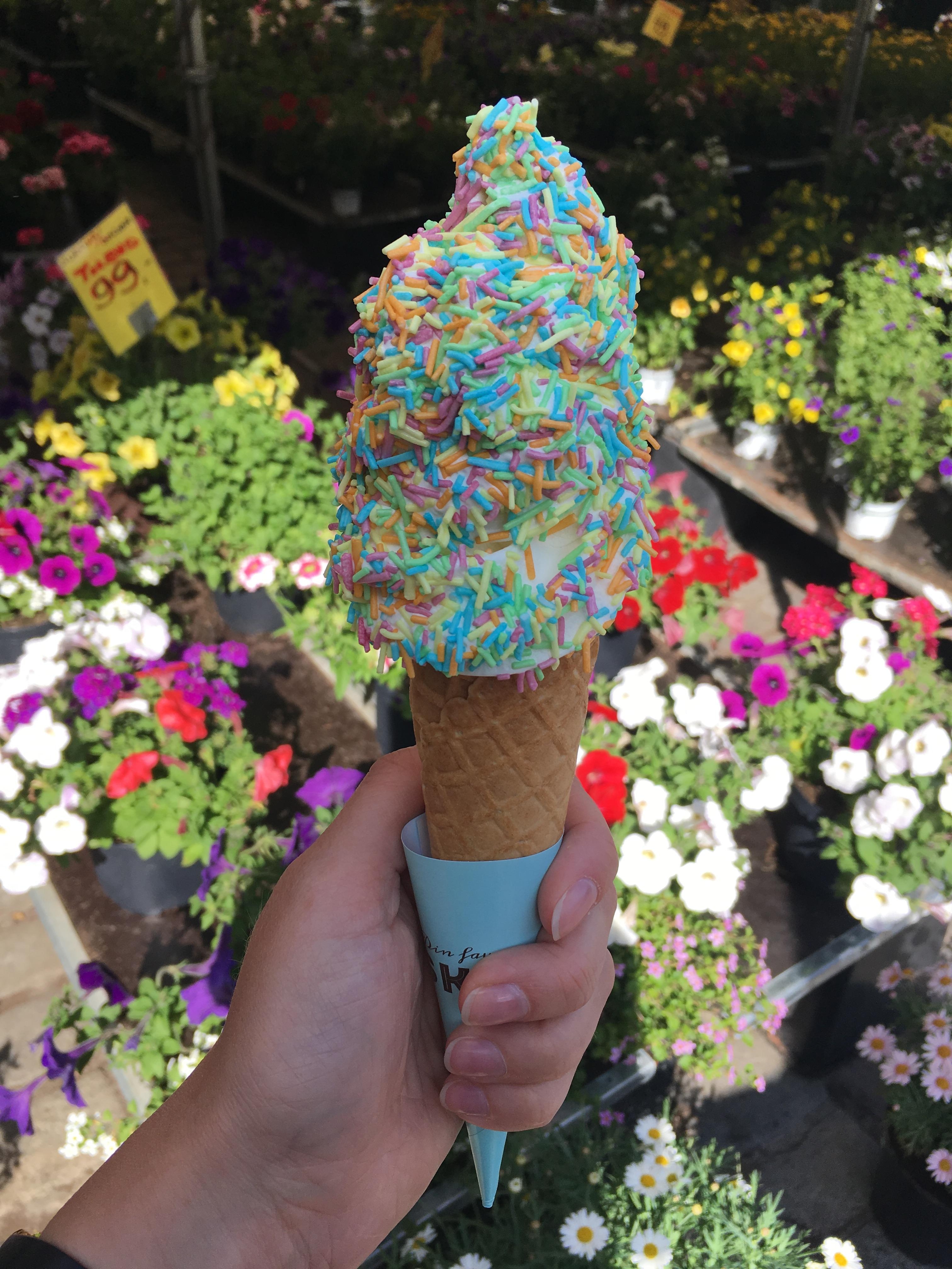 Mein #sommermoment: 
So viel Eis essen wie möglich! 