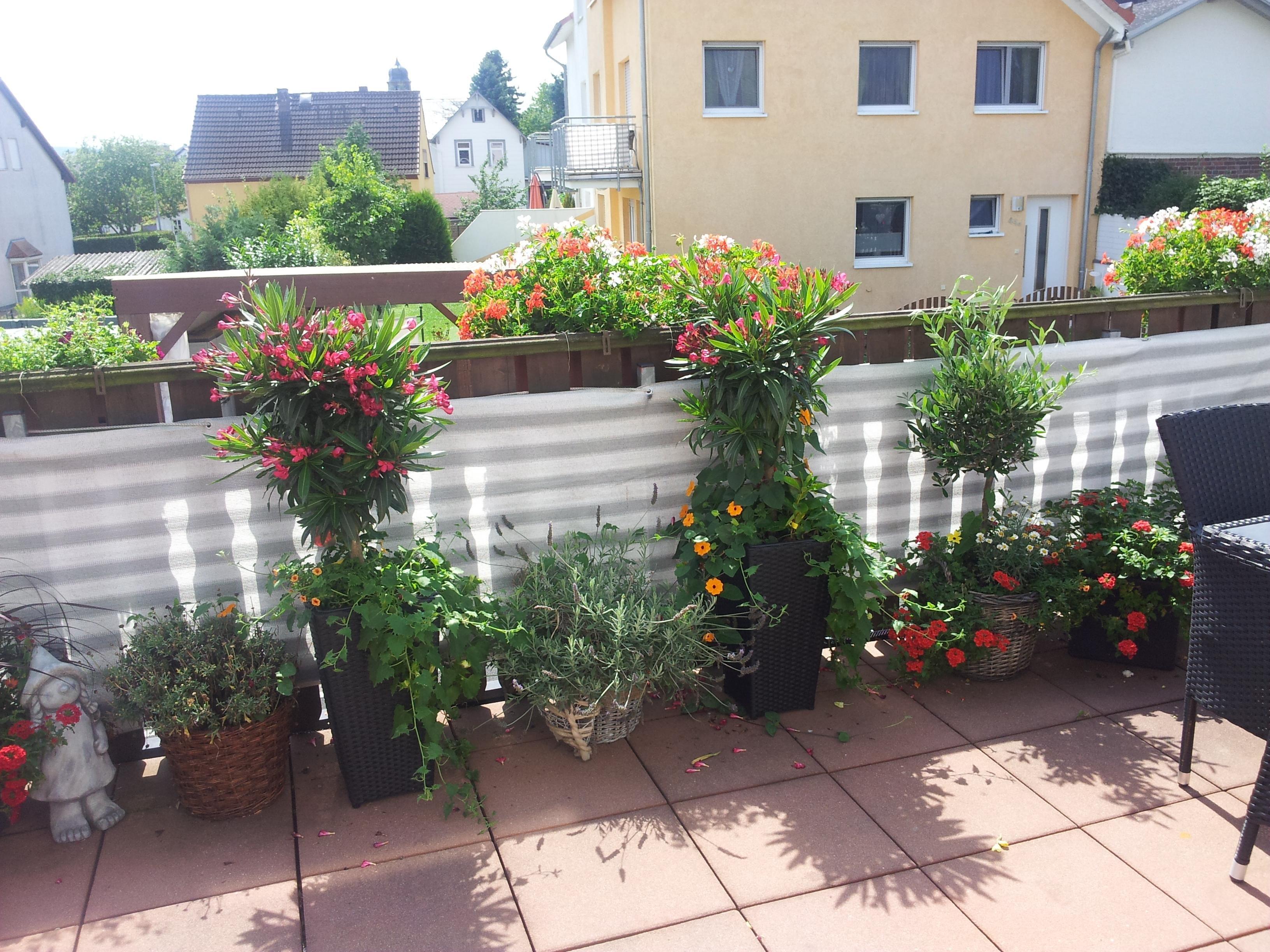 #meinbalkon So sah mein Balkon vor einigen Jahren aus leider sind mir in den harten Winter alle Pflanzen kaputt gegangen