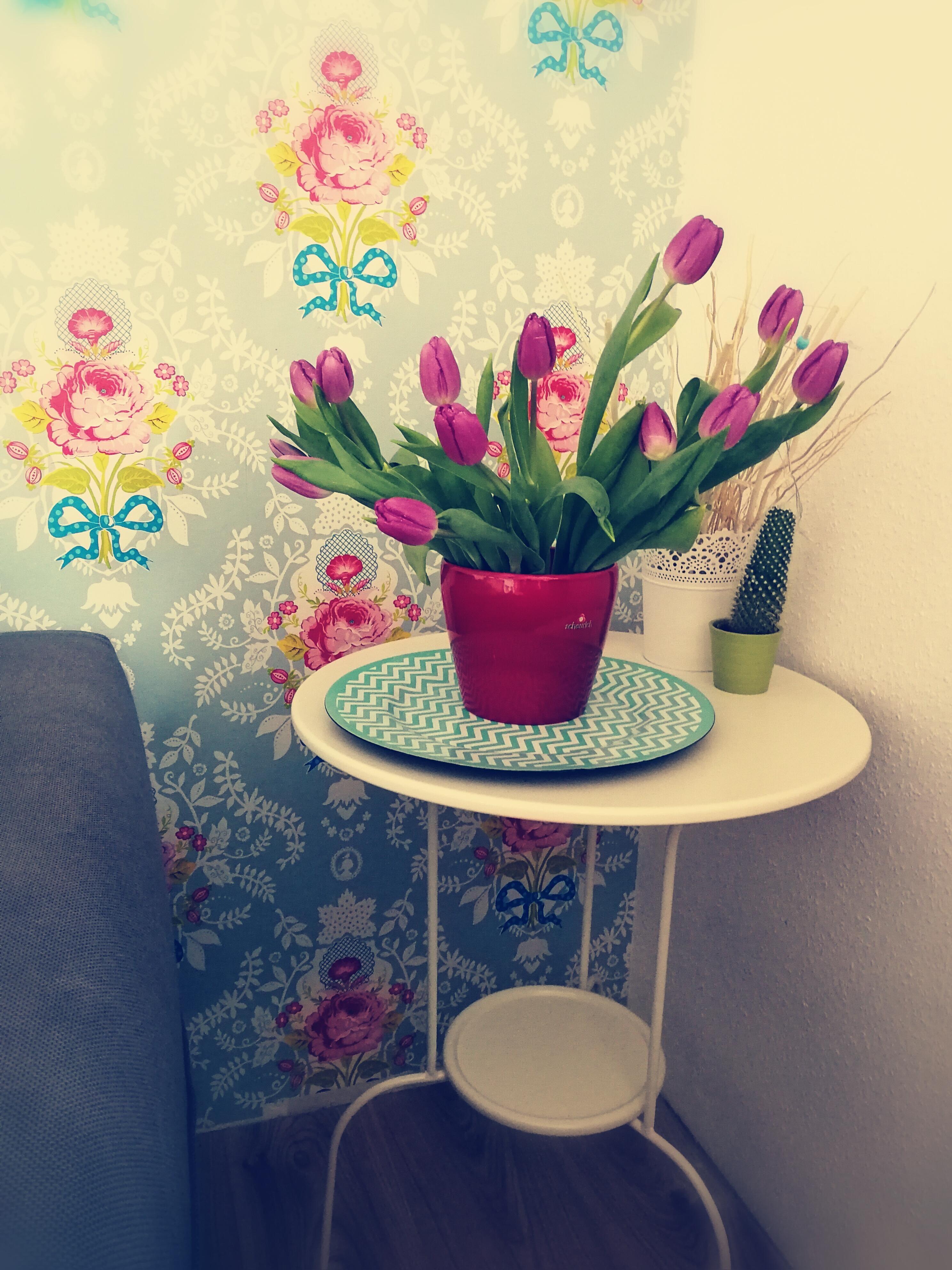 Meine ersten #Tulpen- und die sind von meiner Schwester💕