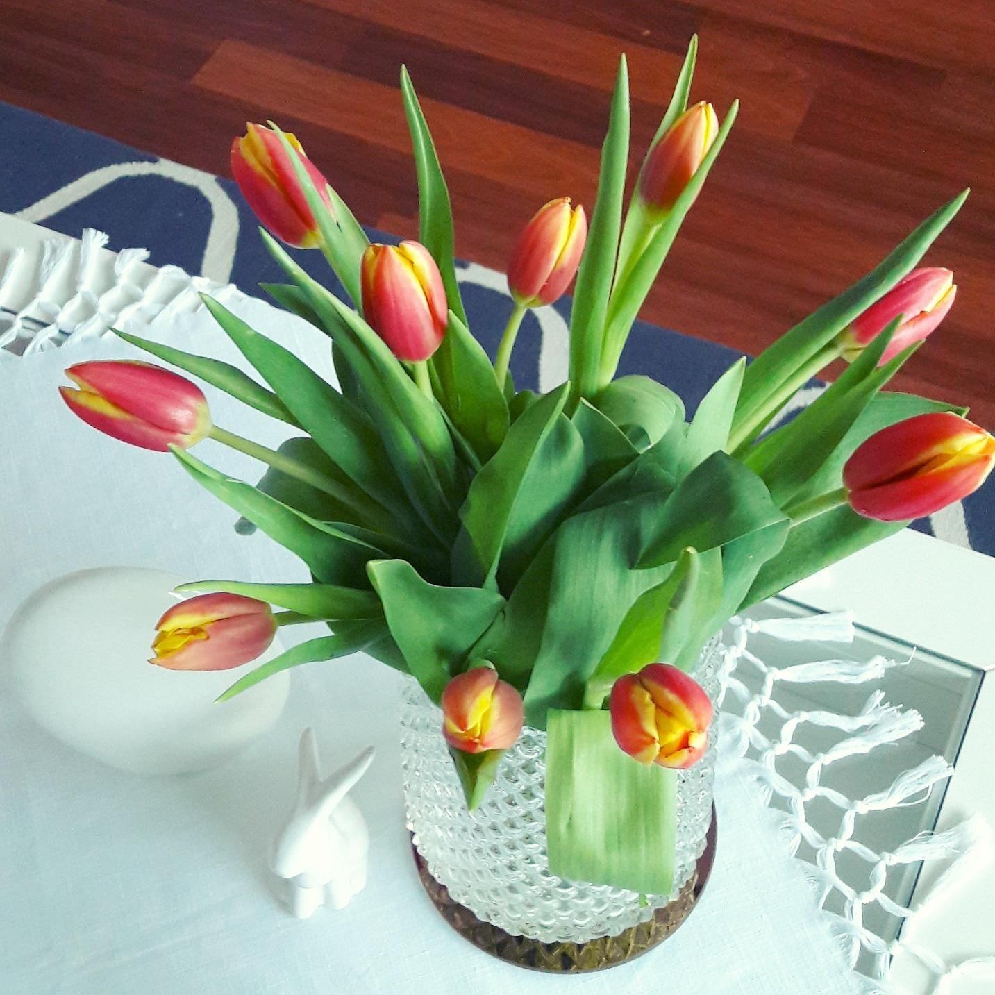 Meine Frühlingsboten 😍
#frühlingsdeko #frühlingsgefühle #flowers #easter #springtime #spring