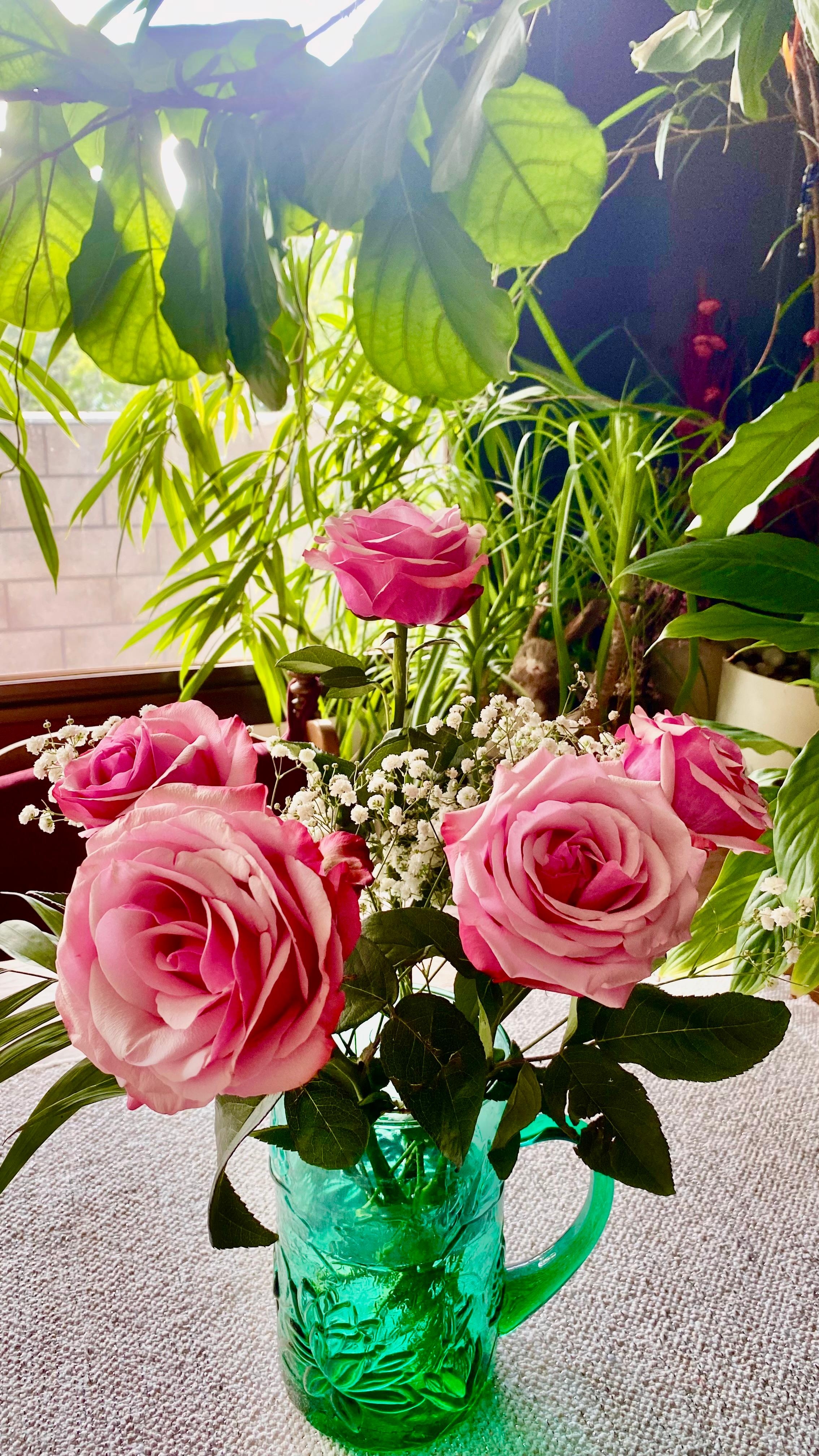 Meine grüne Wohlfühloase 🌿🍃🌱🌹   #rosen #esszimmer #pflanzen