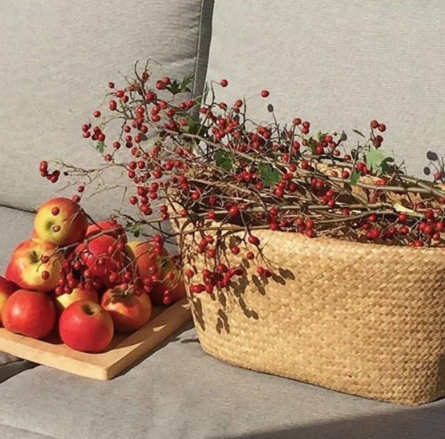 Meine Herbstdeko: Natur pur! #deko #natürlich #korb #holzbrett #couchstyle #couchliebt #hygge #Herbst #herbstdeko