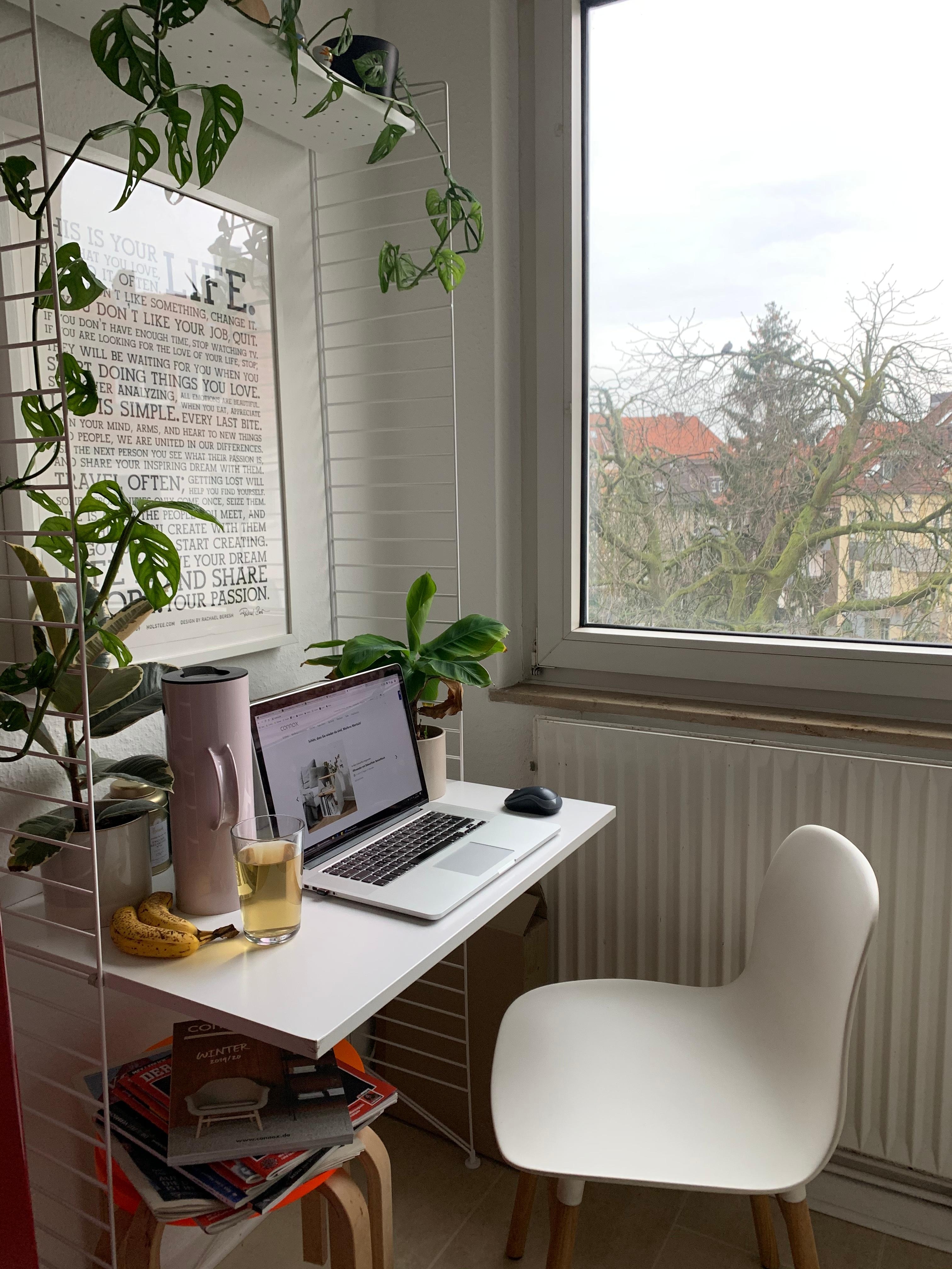 Meine Home Office Situation :)
