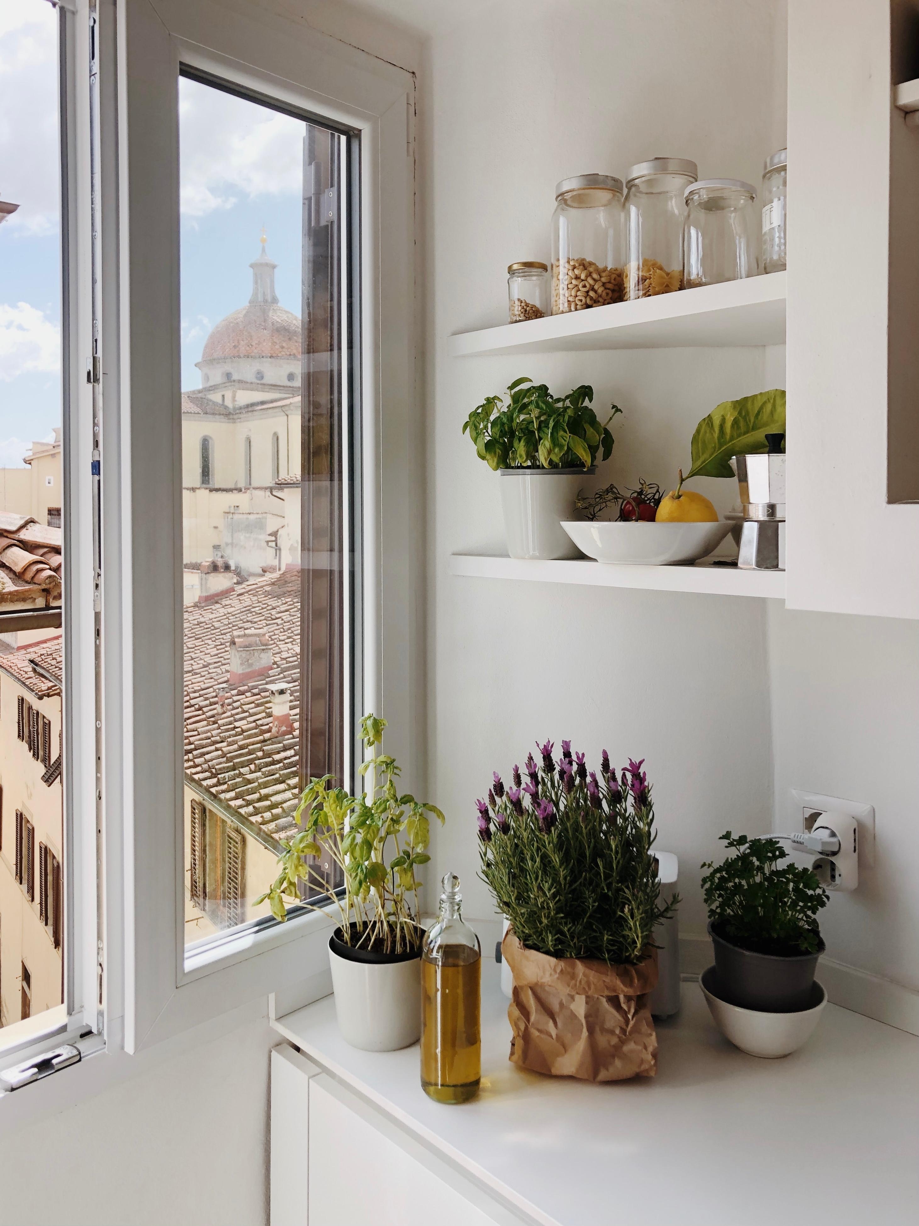 Meine Küche in meinem kleinen florentinischen Appartment 🌿 #wohnen #florenz #interior #ecke #pflanzen #küche
