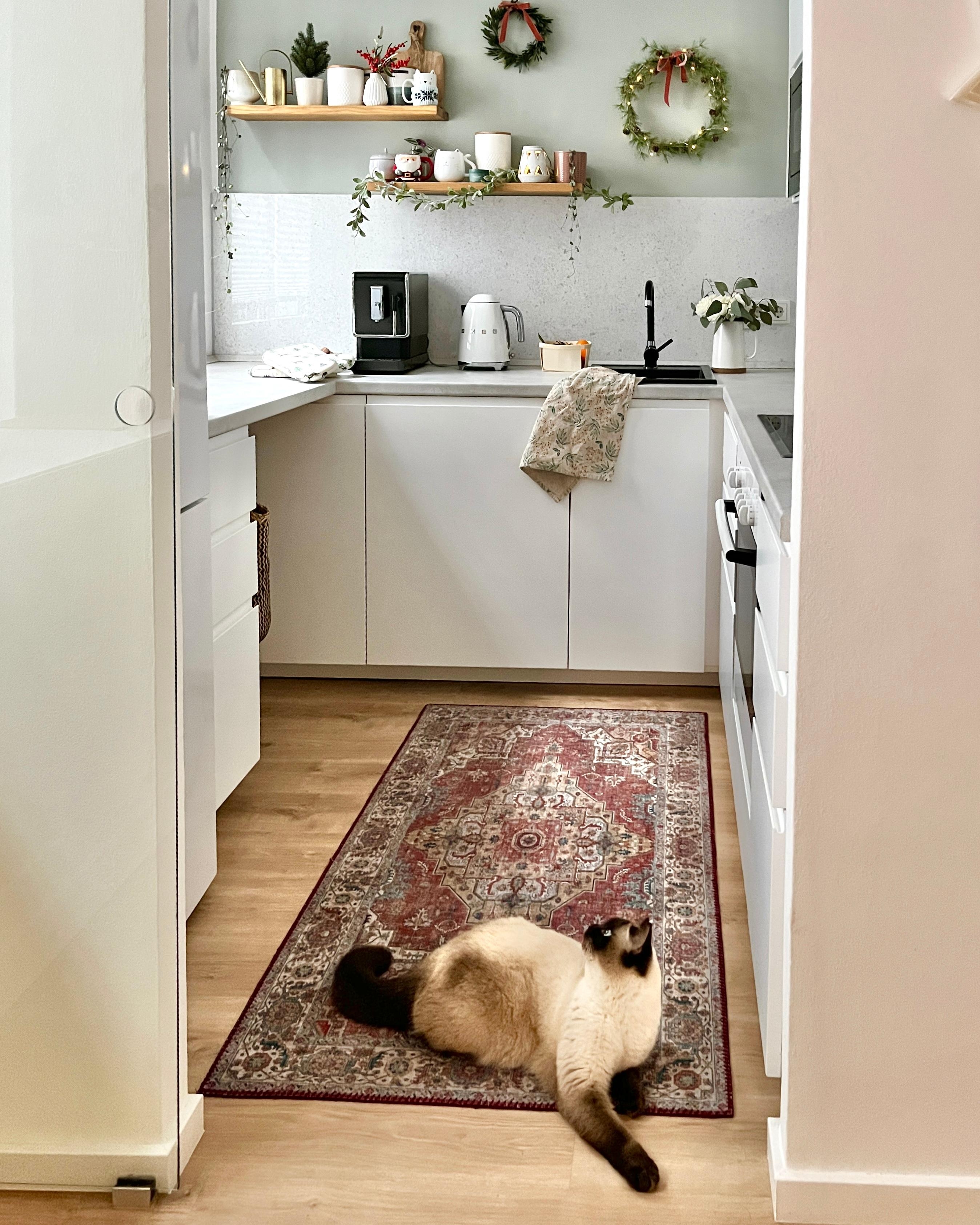 Meine Küchenhilfe 🤭🫣
#weißeküche #kleineküche #ikeaküche #orientteppich #wandregale