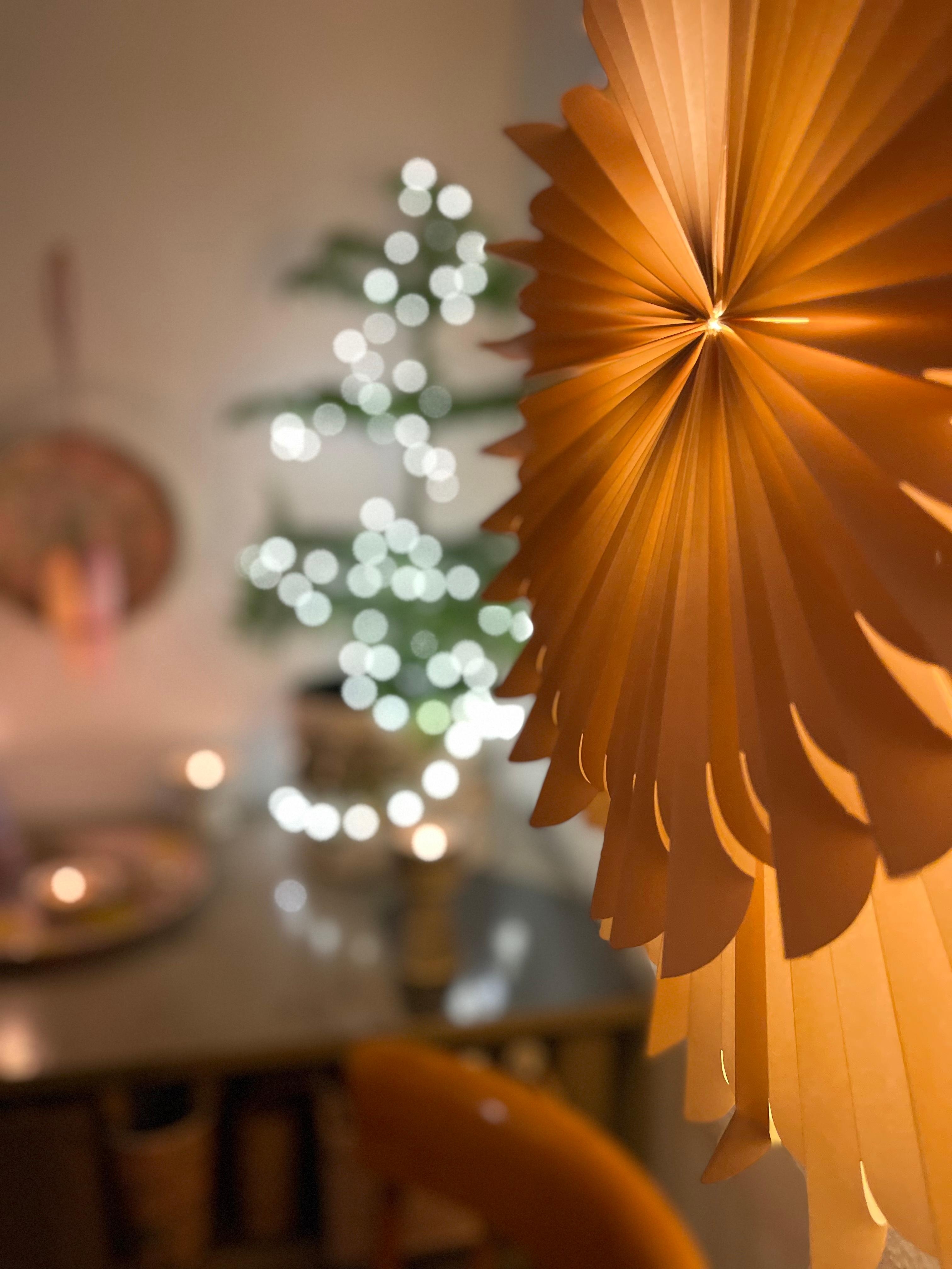 Meine #Weihnachtsdeko #Favoriten: #Lichterketten, #Sterne und #Kerzen. Hier in Kombination mit #Zimmertanne