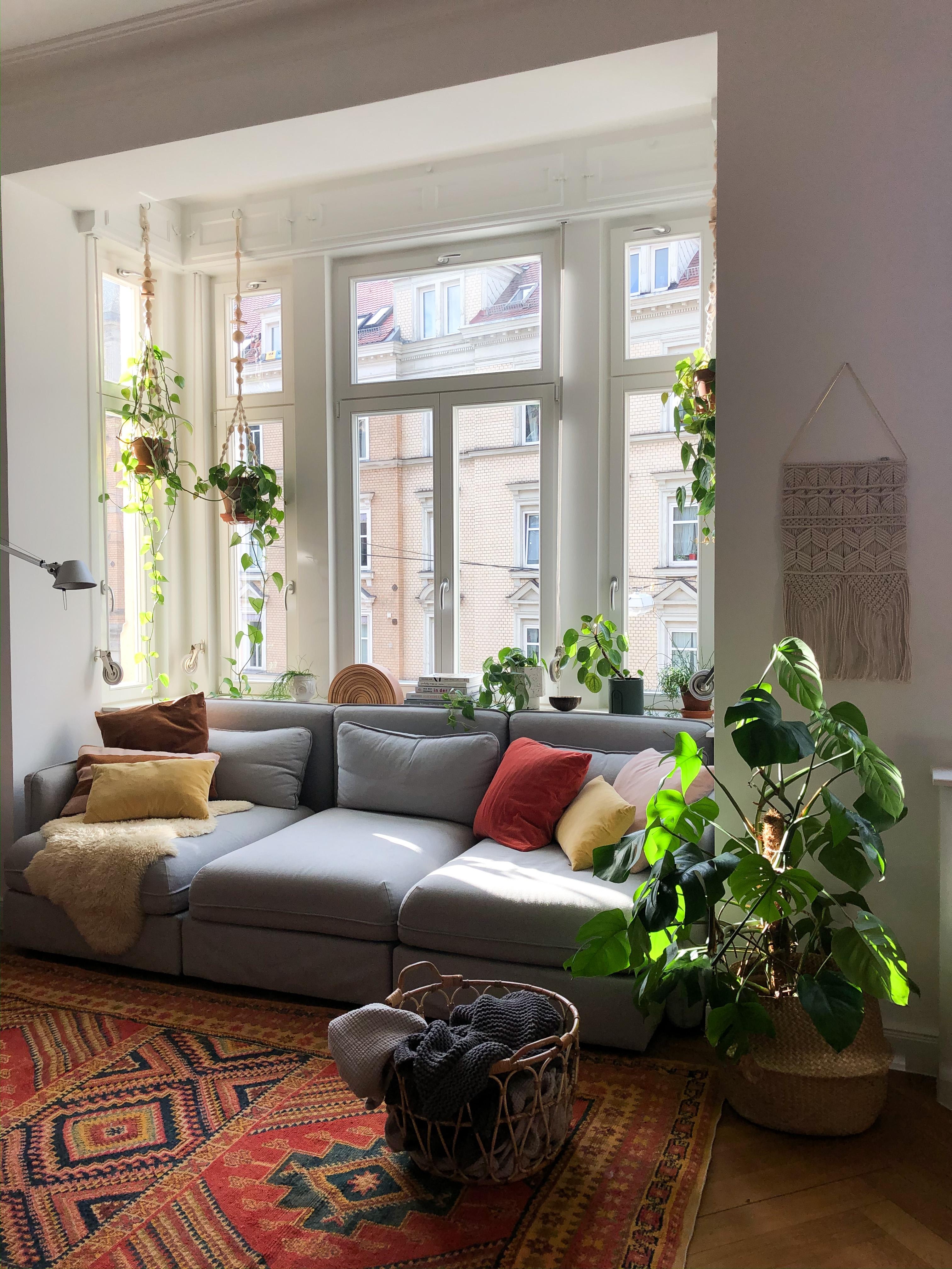 #meinlieblingsplatz in der Sonne auf der Couch 🤍 #wohnzimmer #pflanzenliebe #gemütlich #altbauliebe #pflanzenliebe