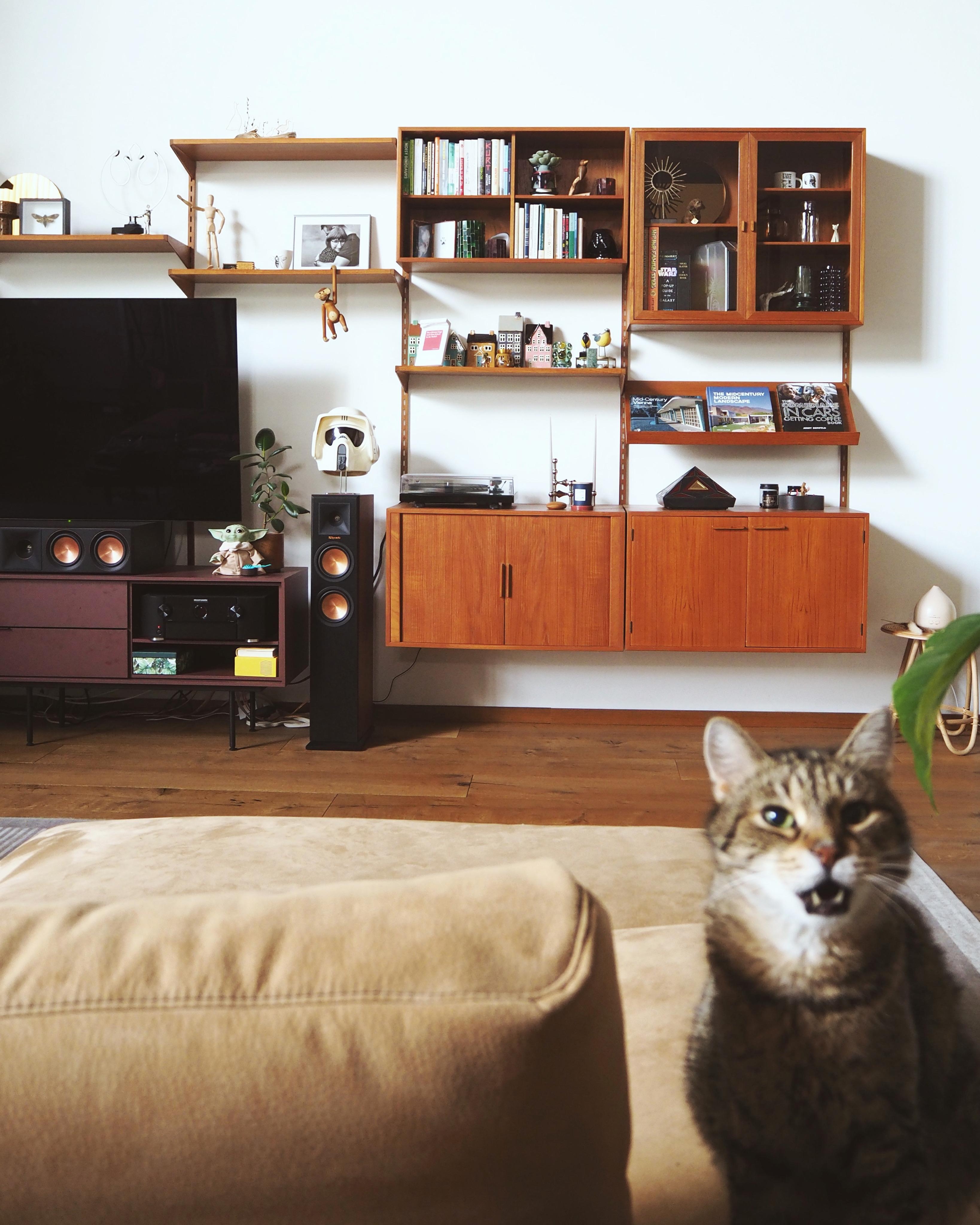 Meow! #livingroom #wohnzimmer #couchstyle #midcentury #kaikristiansen