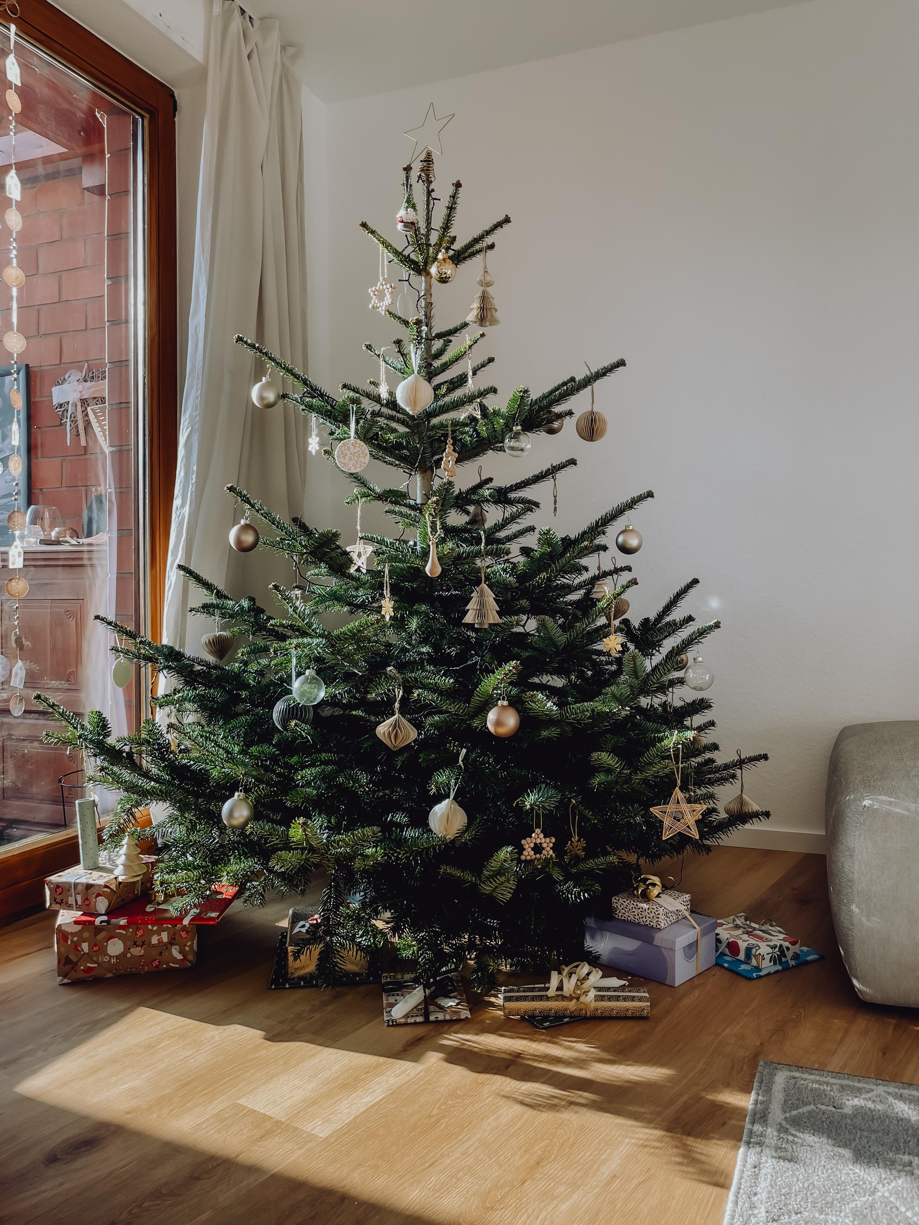 Merry Christmas 🎄
#merrychristmas #weihnachten #tannenbaum