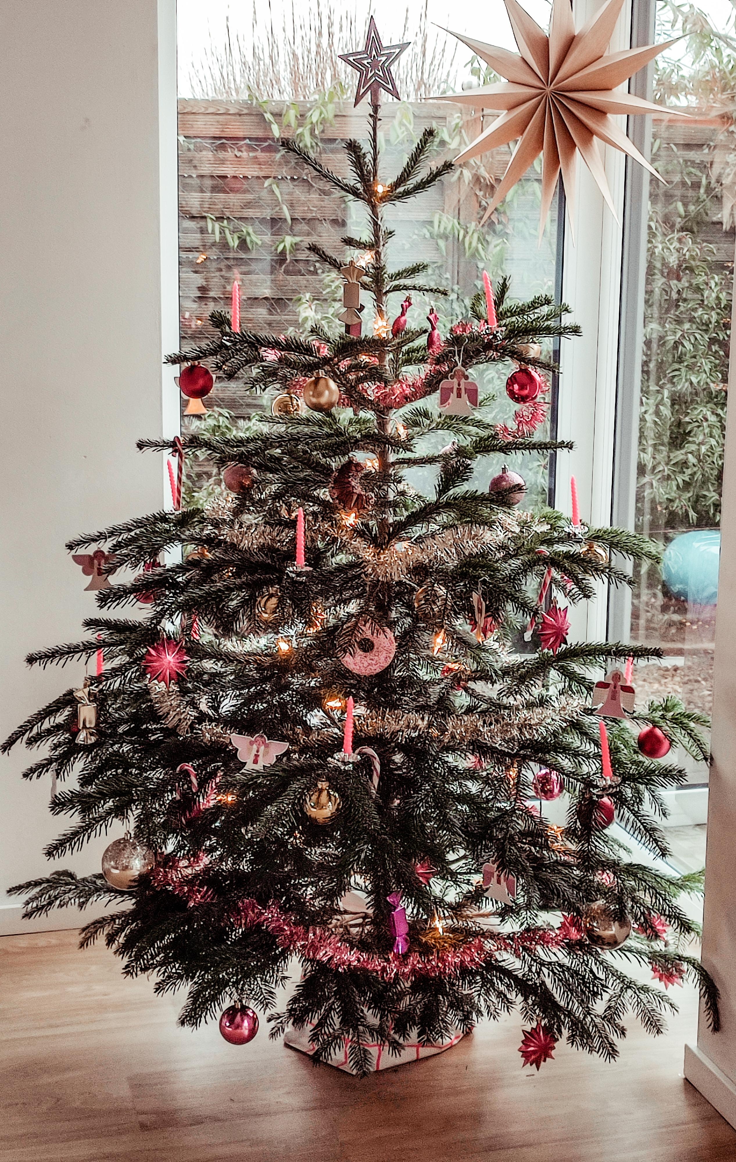 MERRY Christmas 🎅✨🕯️🌲
Unser Mädchen Weihnachtsbaum in pink
#weihnachtsdeko #weihnachten #weihnachtsbaum