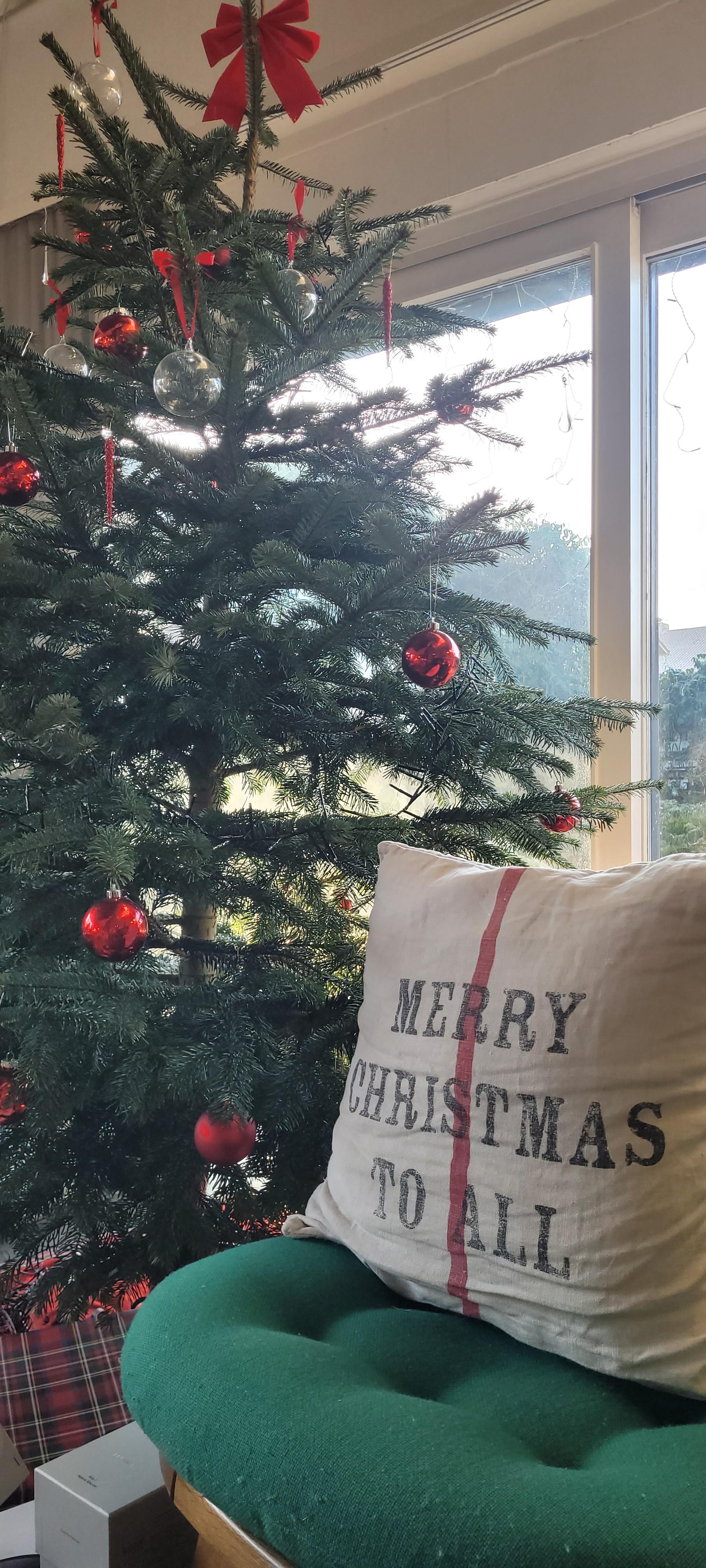 MERRY CHRISTMAS TO ALL 
#Weihnachten #christmas #Tannenbaum #christmastree #Tradition 