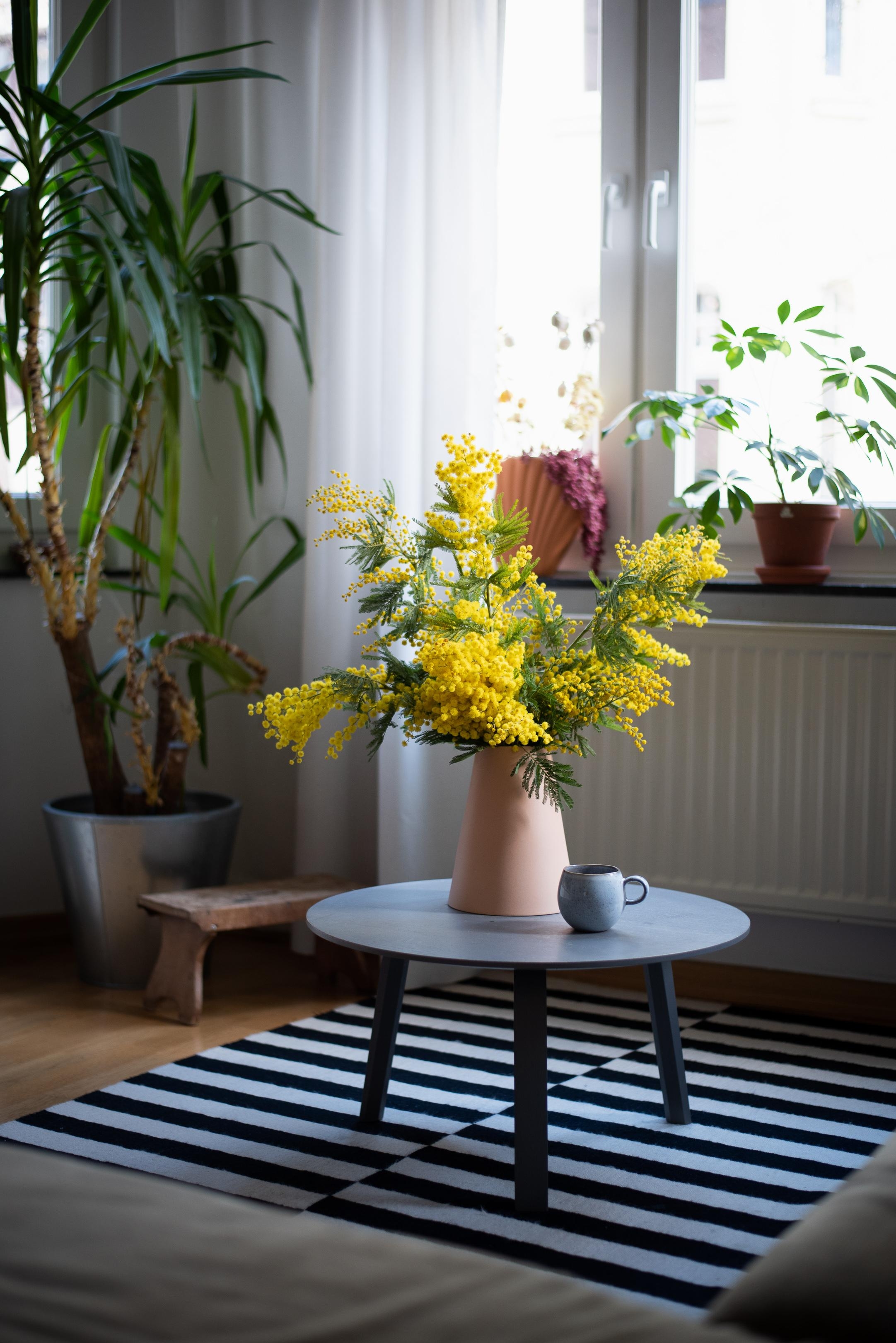 Mimosen-Liebe #wohnzimmer #mimosen #interiorinspo #couchtisch #vase #deko