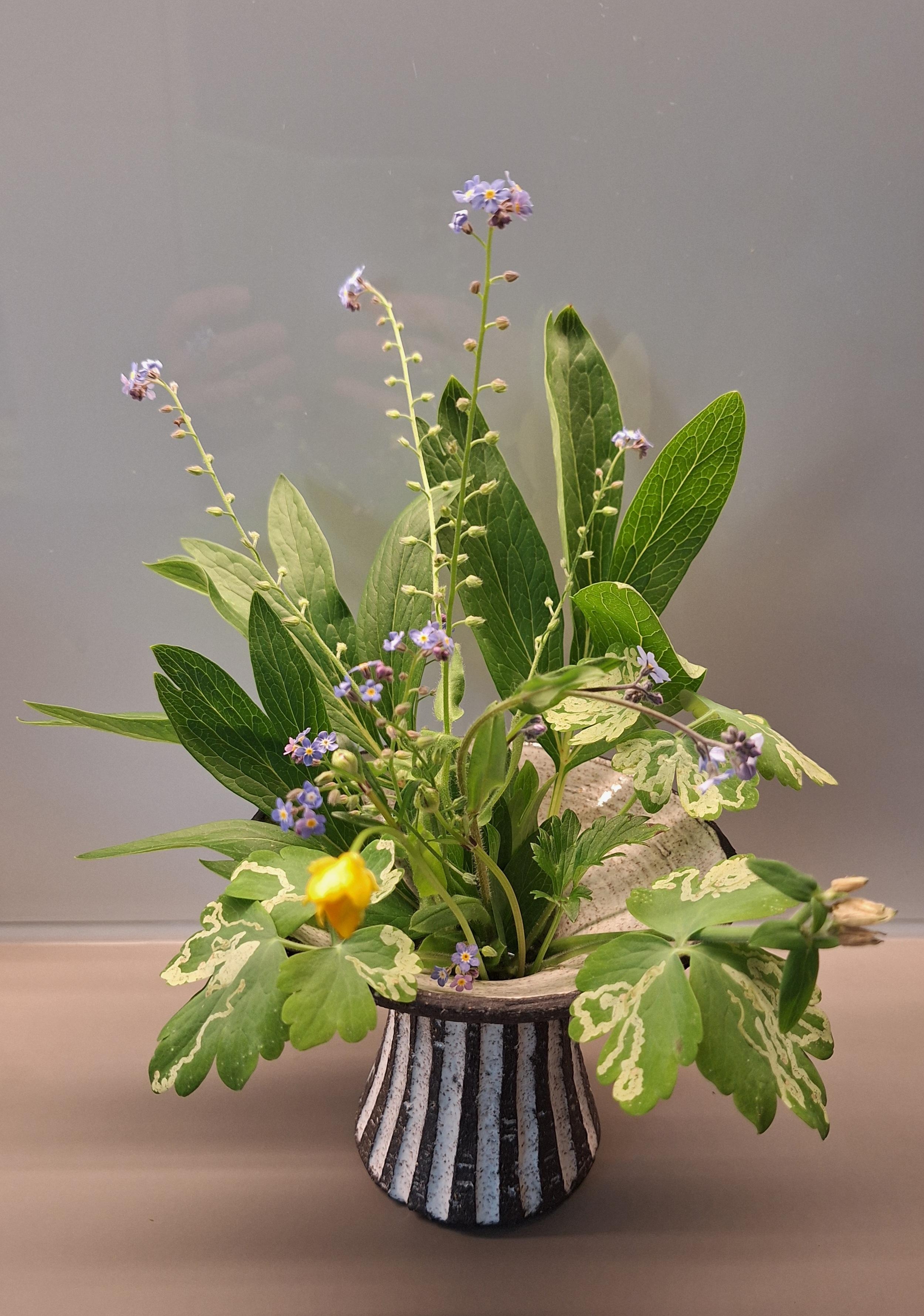 Mini-Bouquet
#Blumenstrauß #KleineBlumen #Retro #Vase #Spiegelung #freshflowerday
