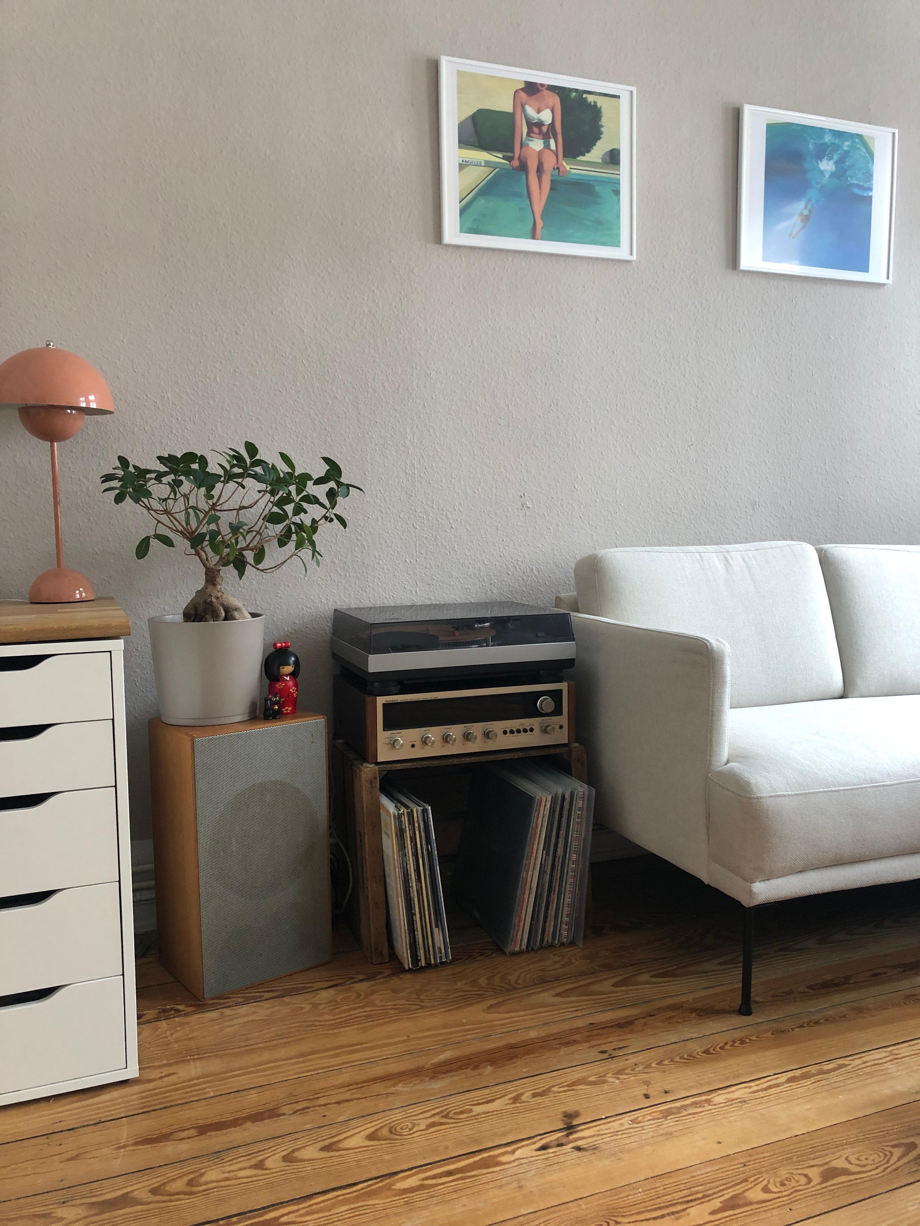 Mini Upgrade im #wohnzimmer: Musikecke statt Barwagen 🎶🖤#plattenspieler #flowerpot #bonsai