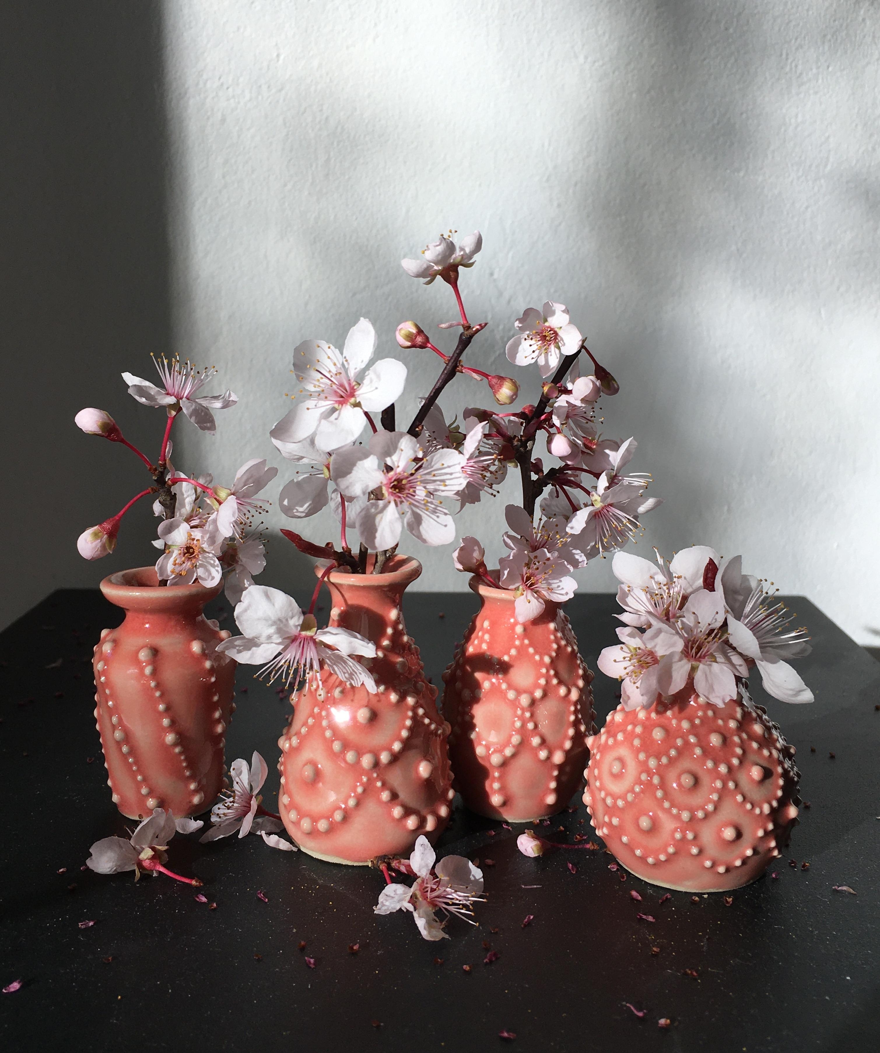 Miniaturvasen und Blüten -
meine absolute Lieblingsdeko !!!
#couchliebt#minivasen#keramik